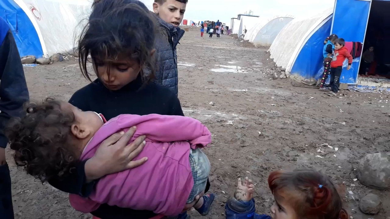 The Trust Fall: Julian Assange backdrop