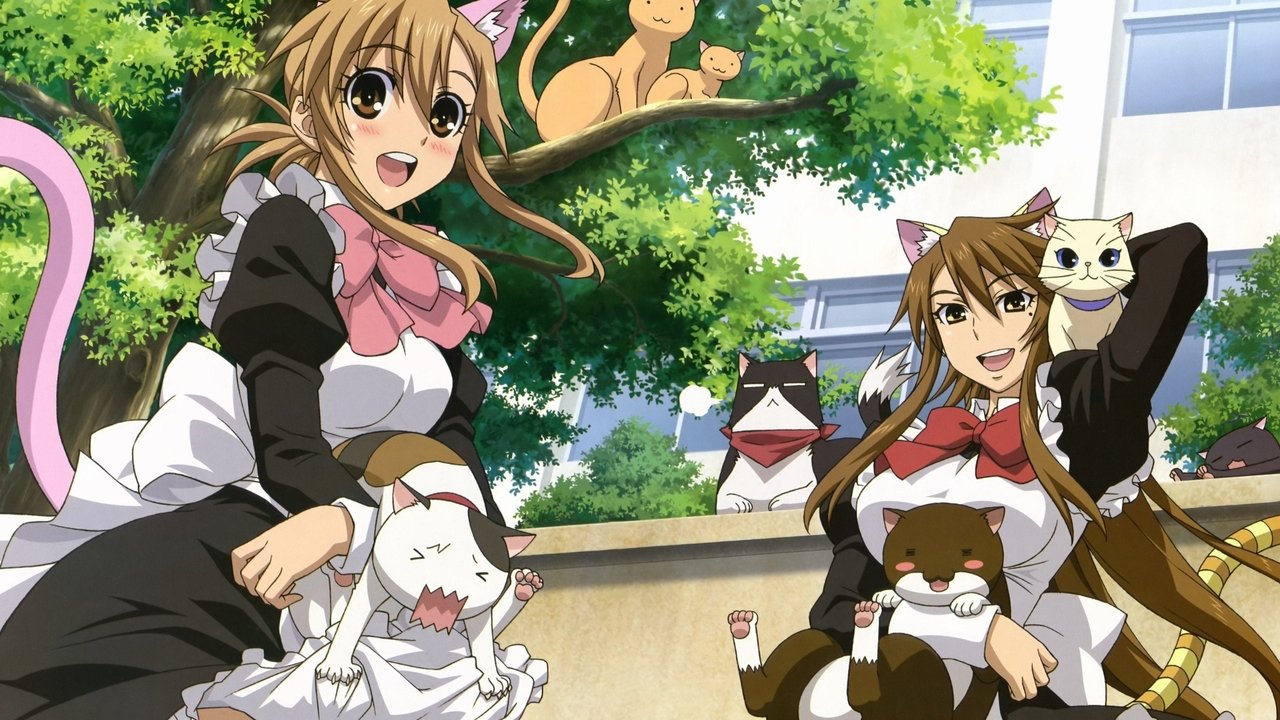 Behind the scenes from Nyan Koi!