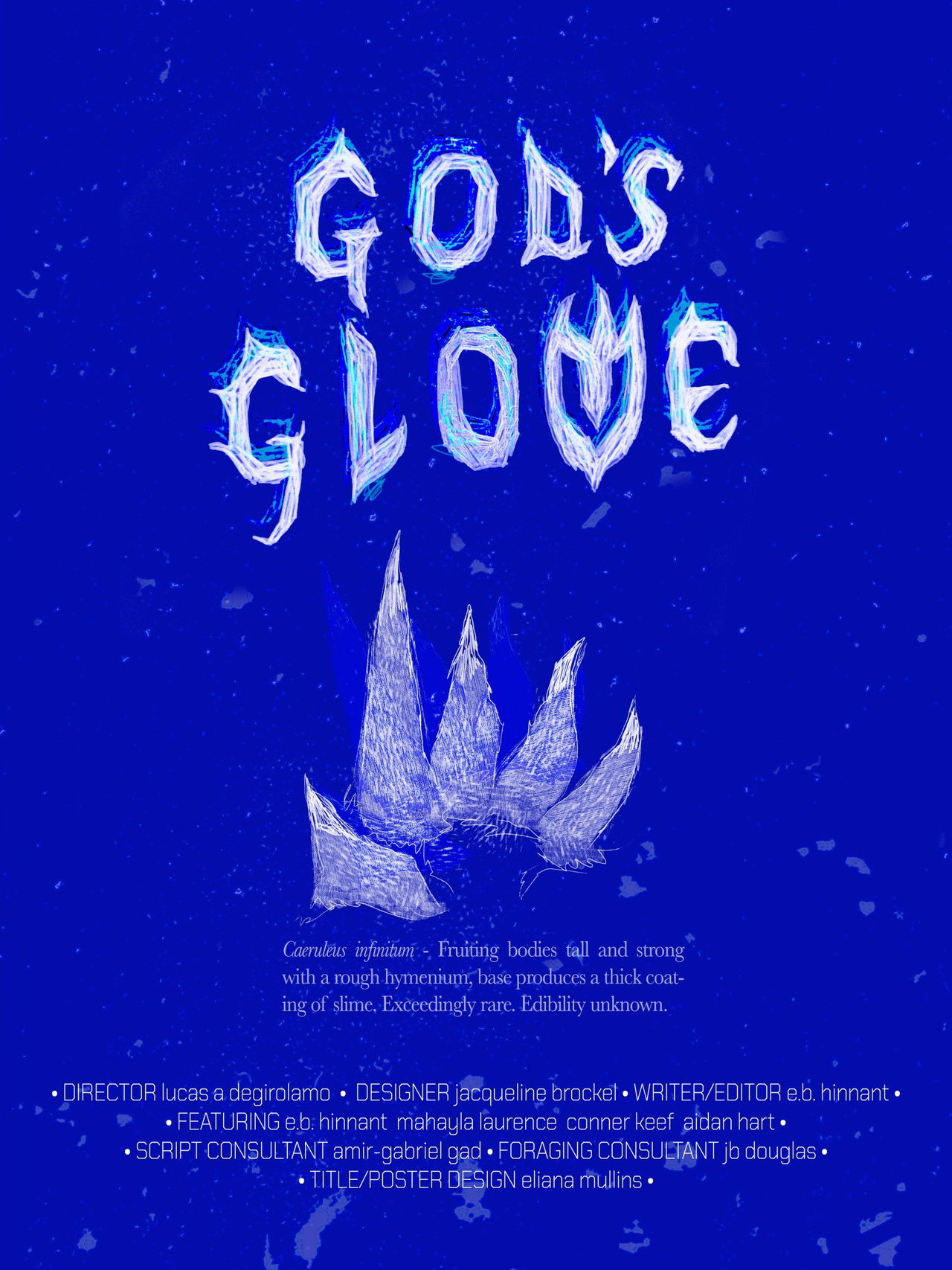 God's Glove