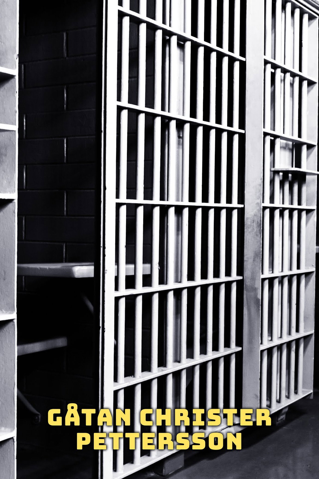 Gåtan Christer Pettersson