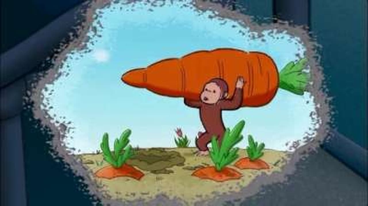 Curious George - Season 3 Episode 2 : The Perfect Carrot