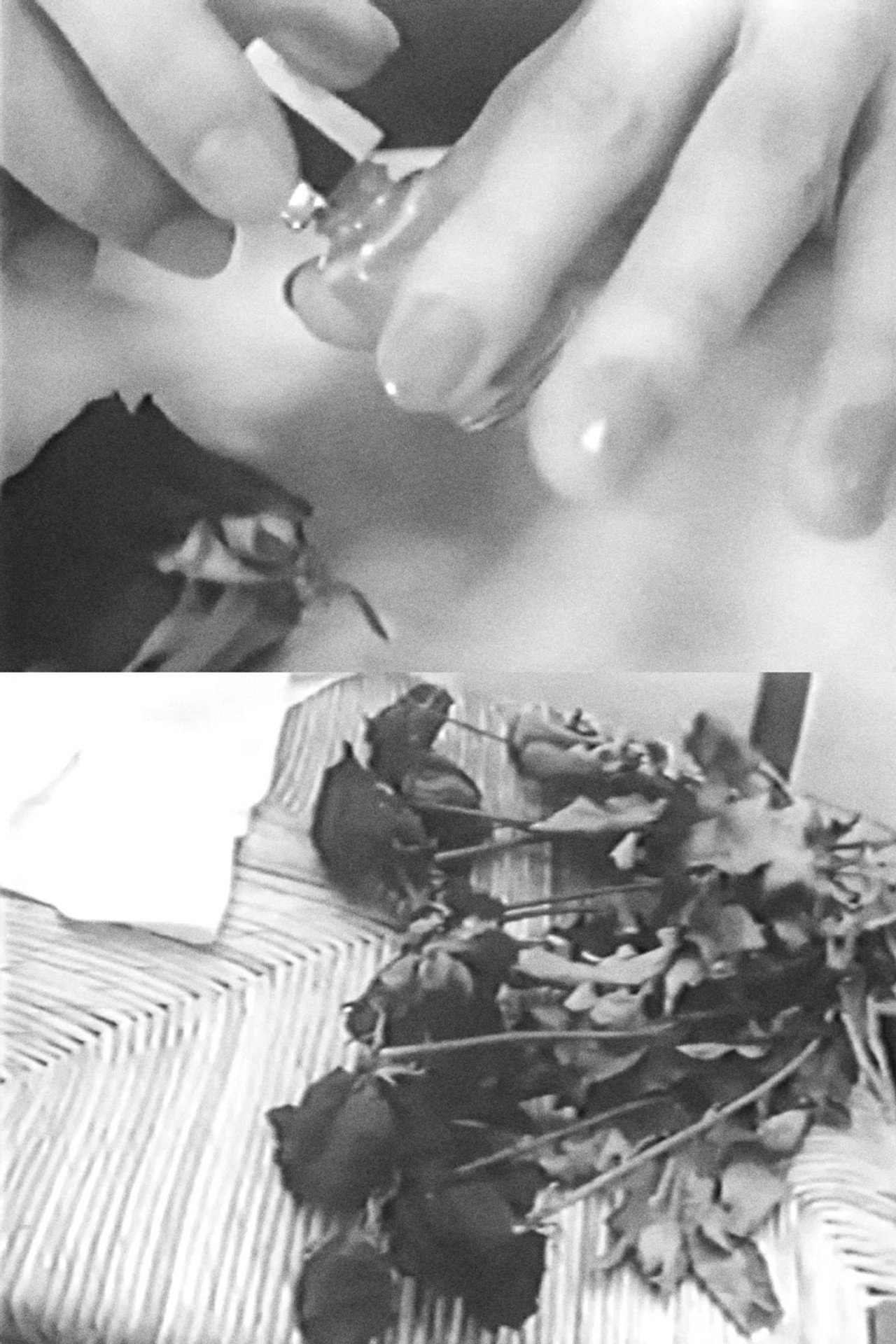 The Drooping Roses filmaffisch