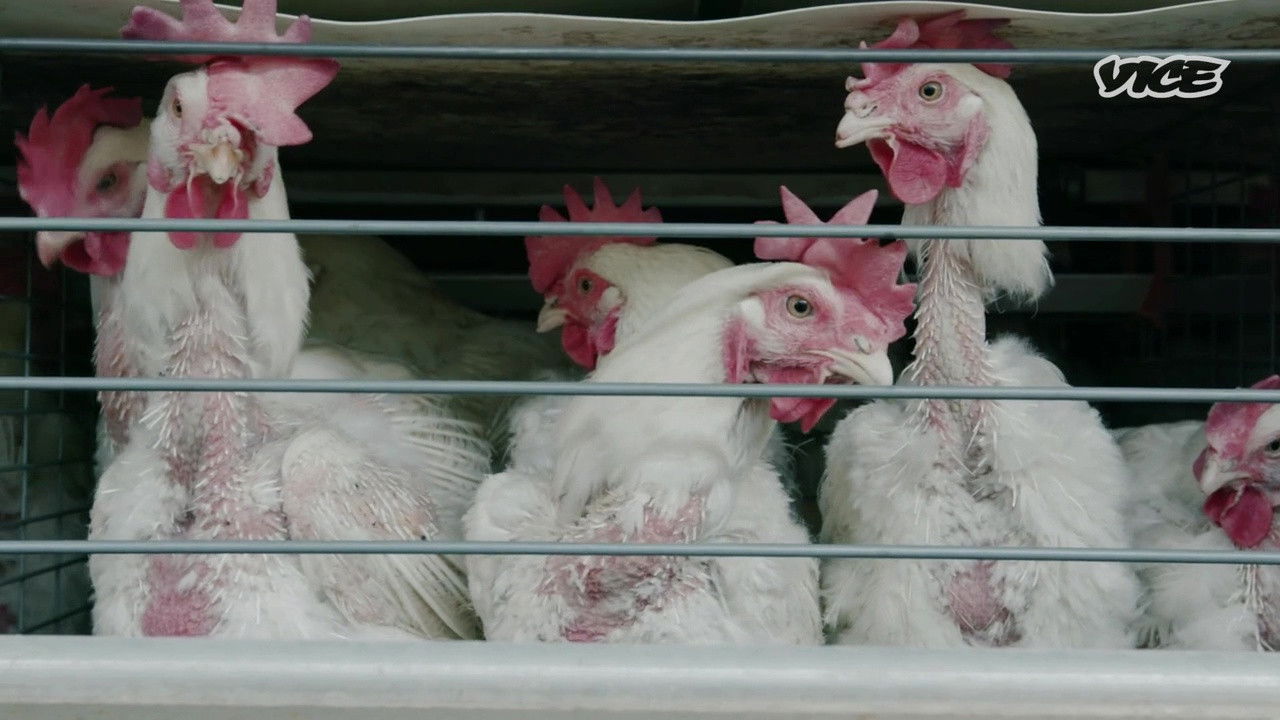 While The Rest Of Us Die — Épisode 2