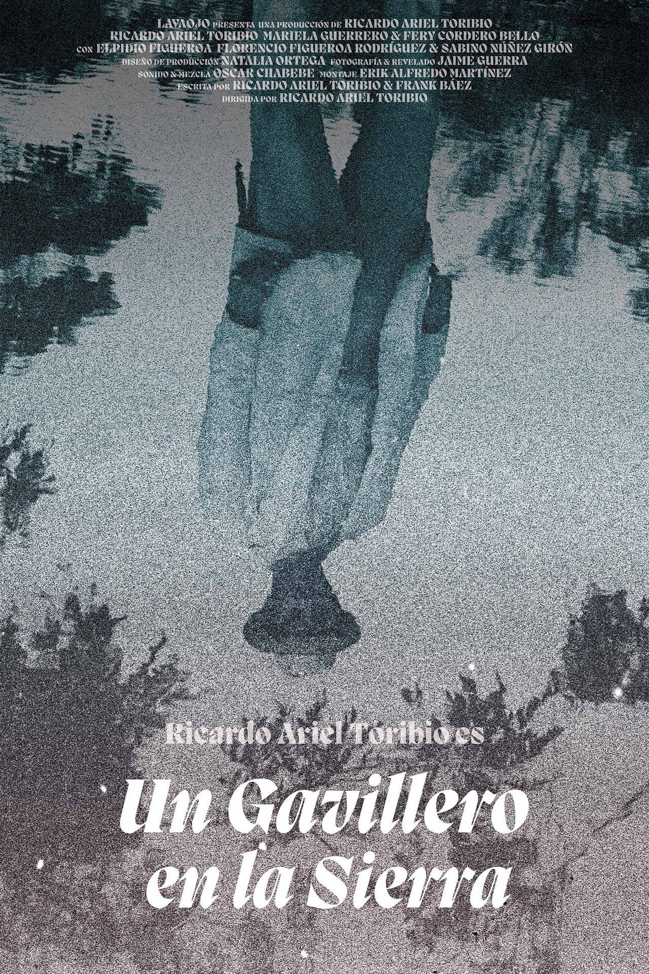 posters 2