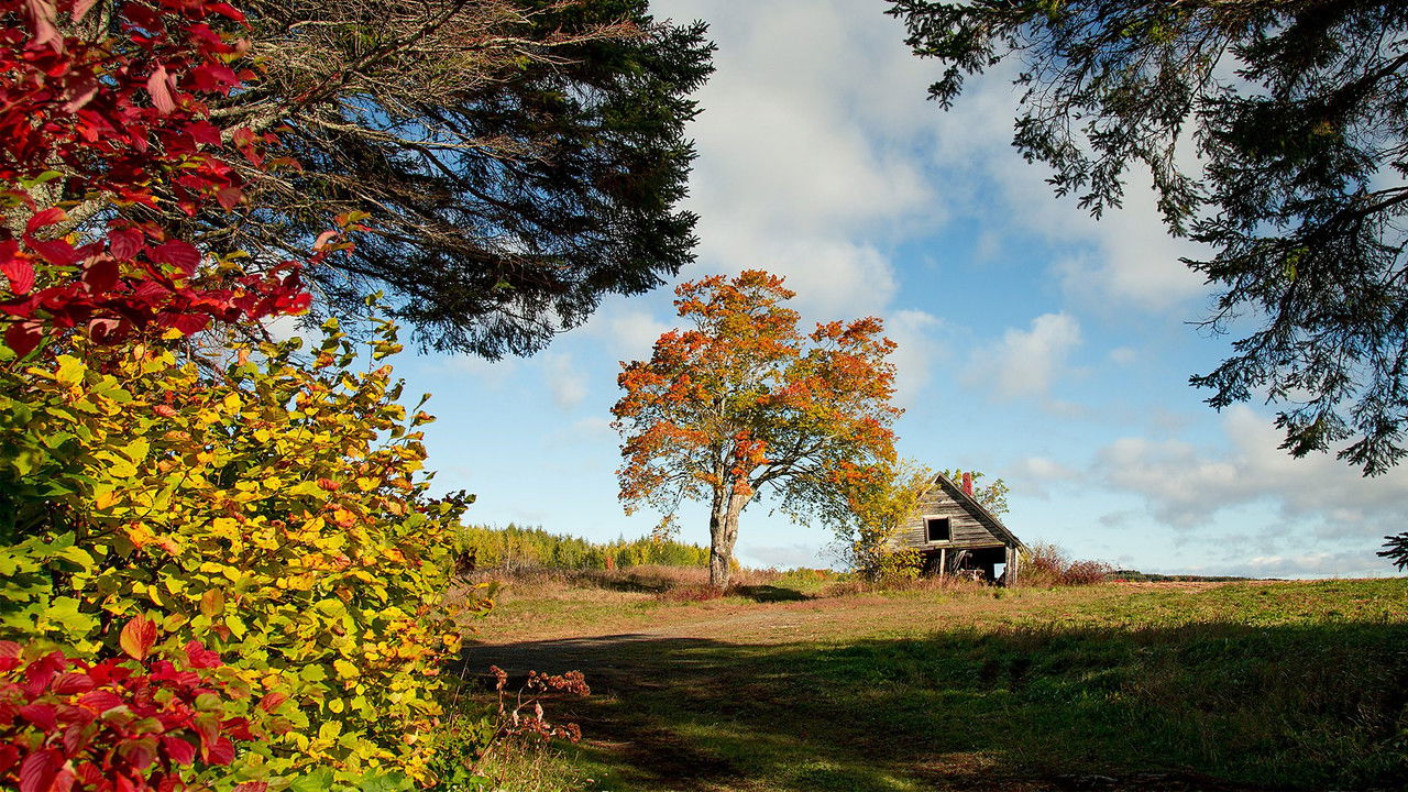 Autumnwatch — Épisode 4