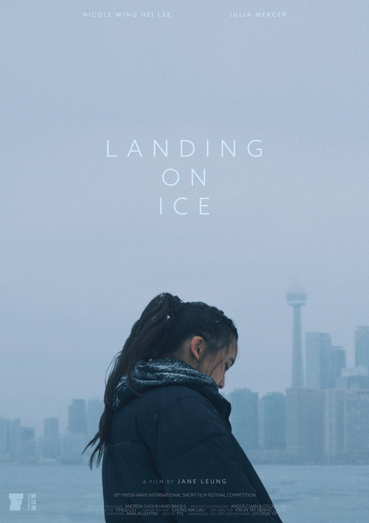 Landing On Ice filmaffisch
