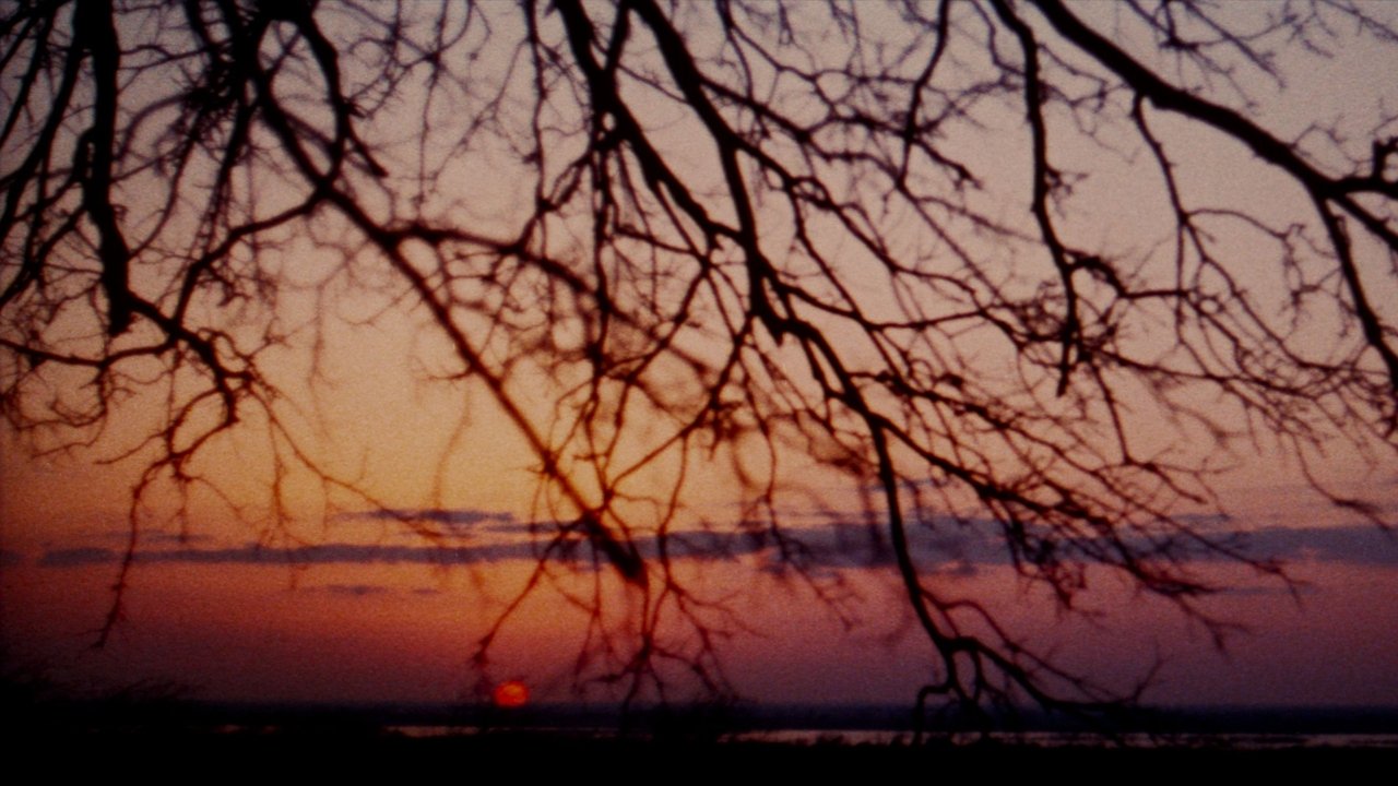 title image