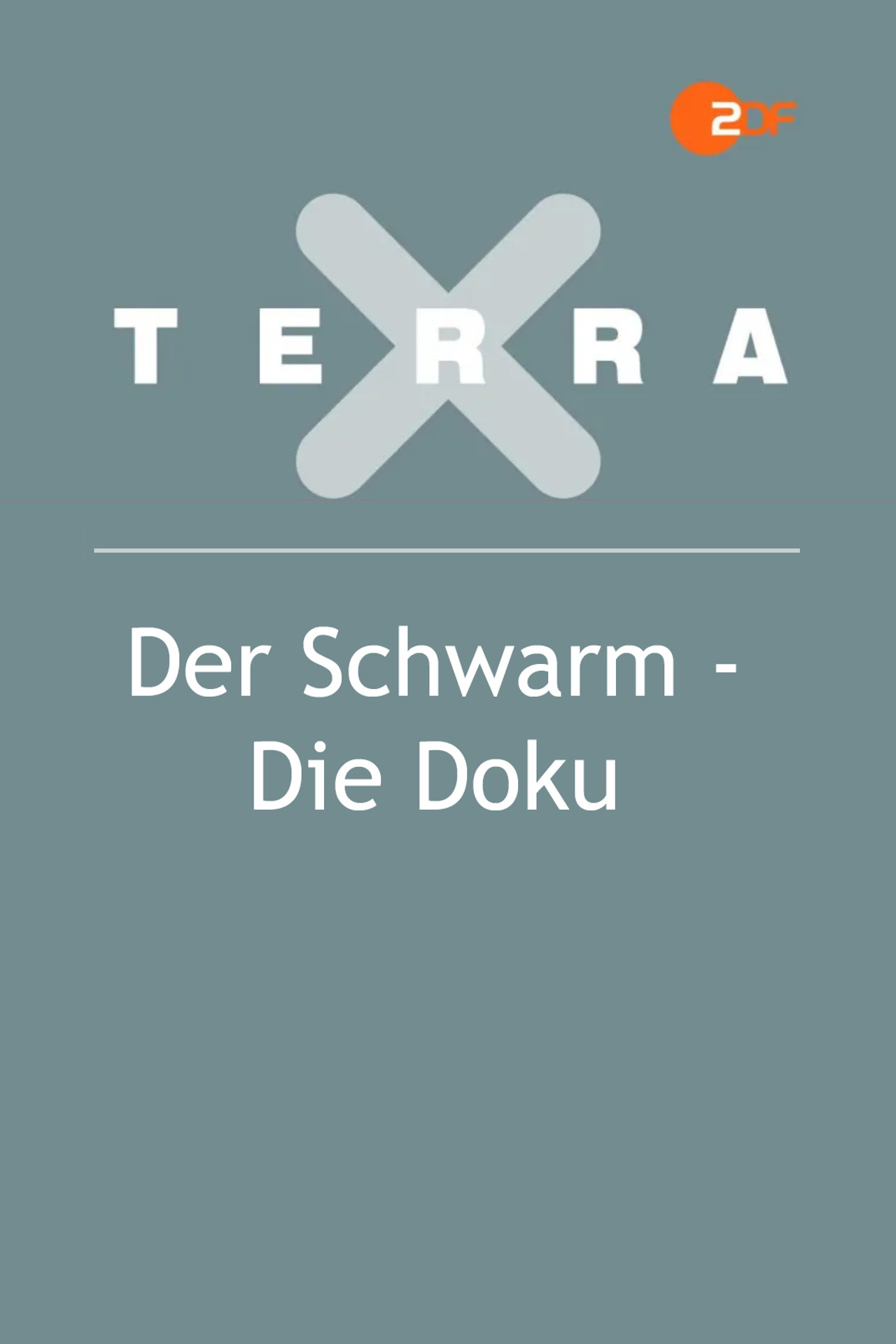 Der Schwarm - Die Doku affisch