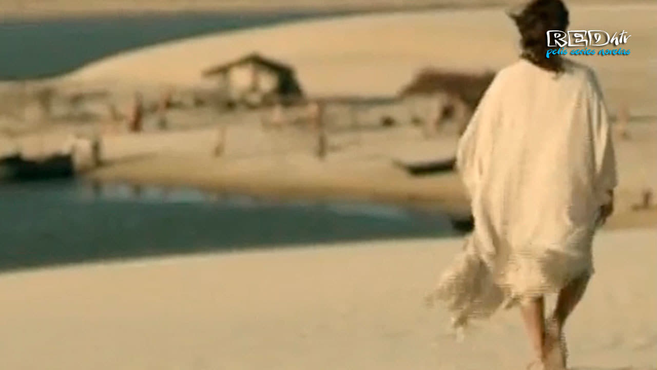 Los Milagros De Jesus Capítulo 24 SERIES BIBLICAS