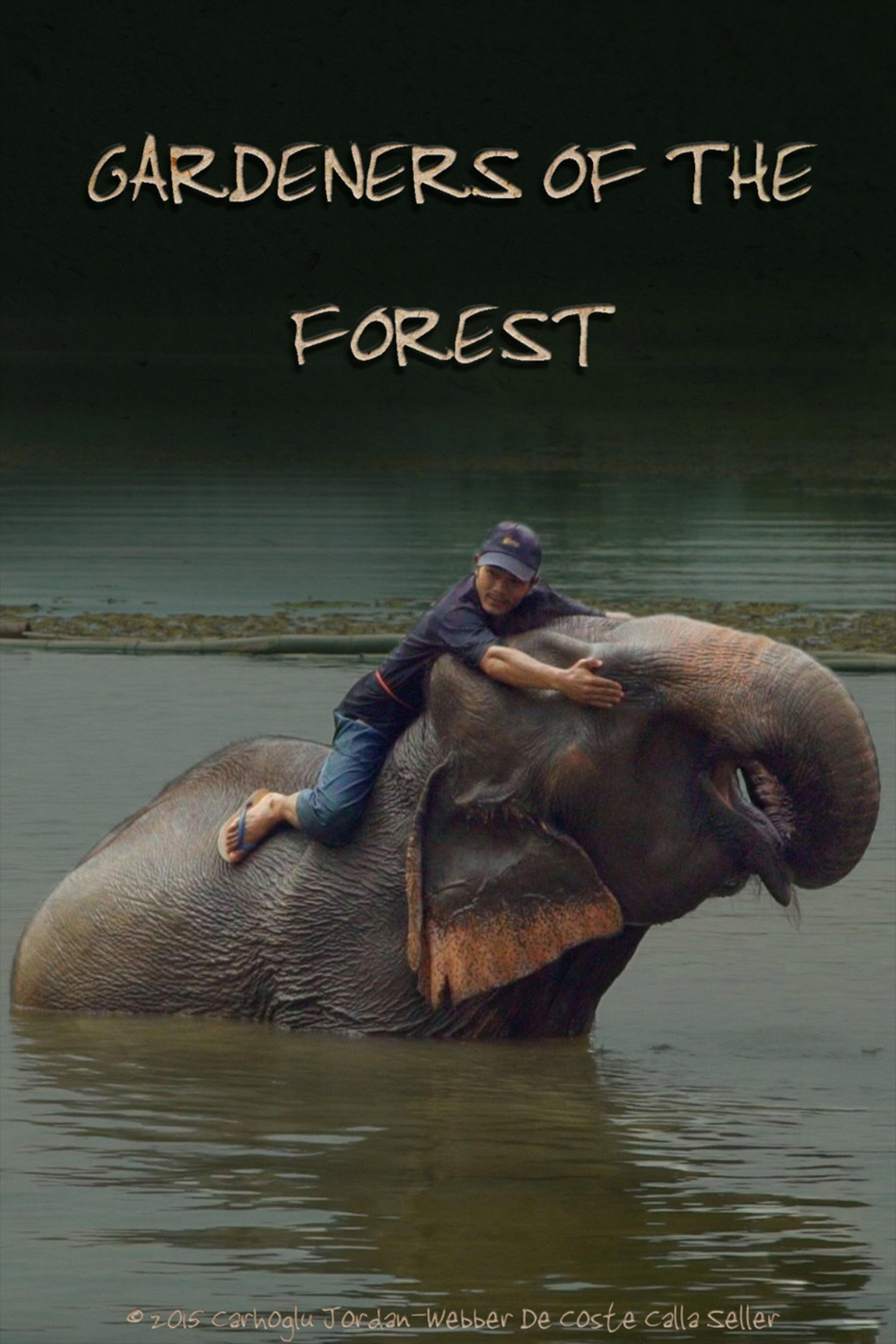 Gardeners of the Forest filmaffisch