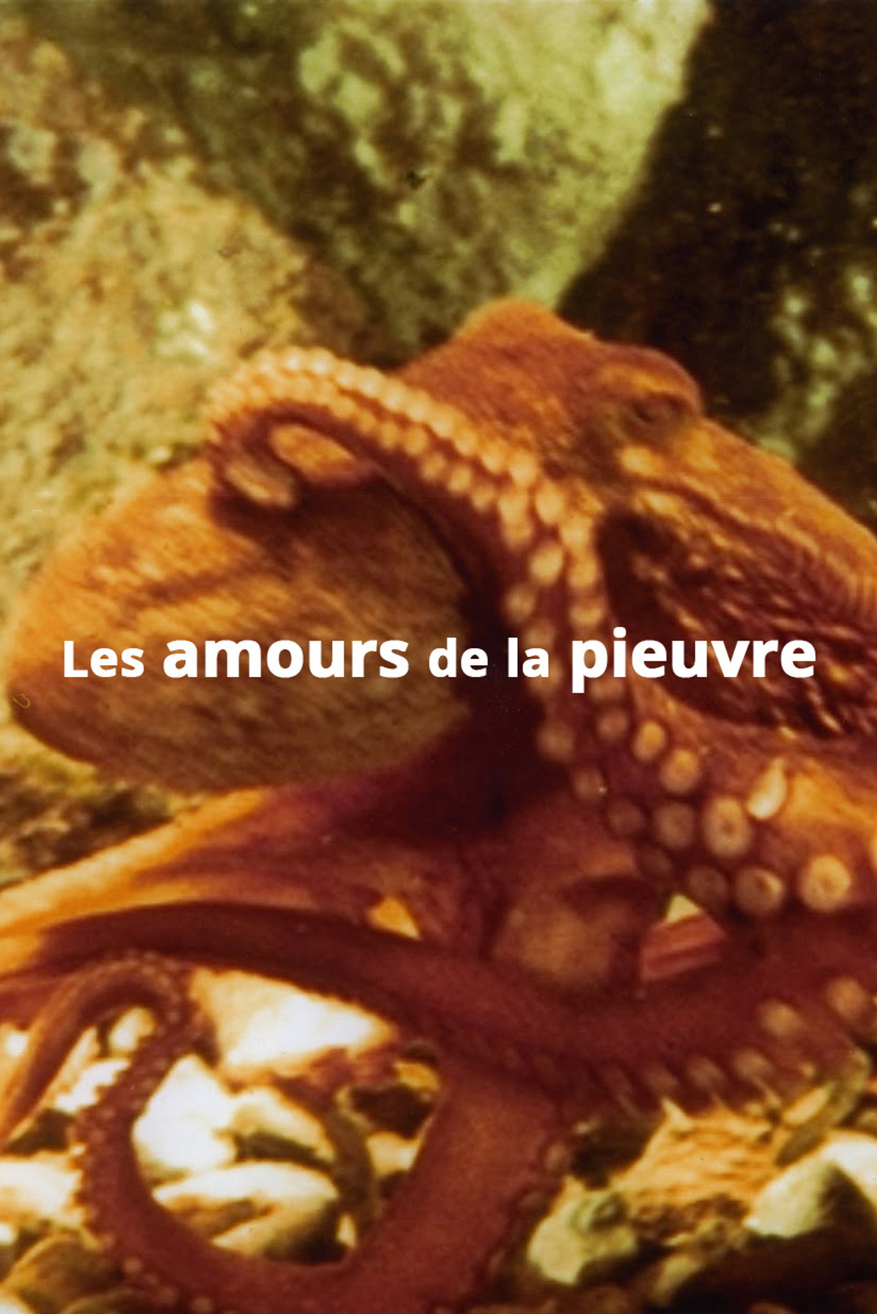 Les amours de la pieuvre filmaffisch