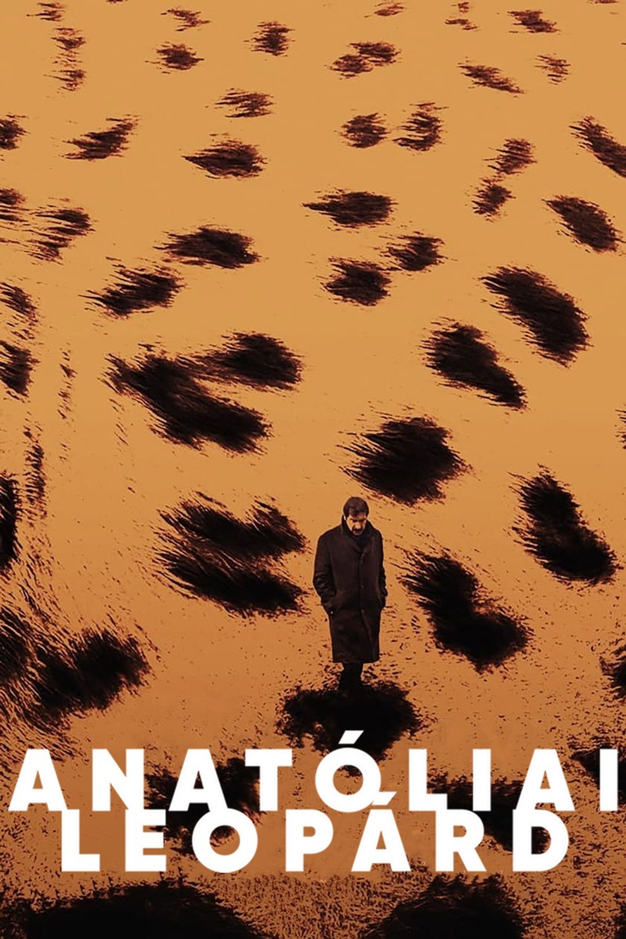 Anatóliai leopárd – plakát 2