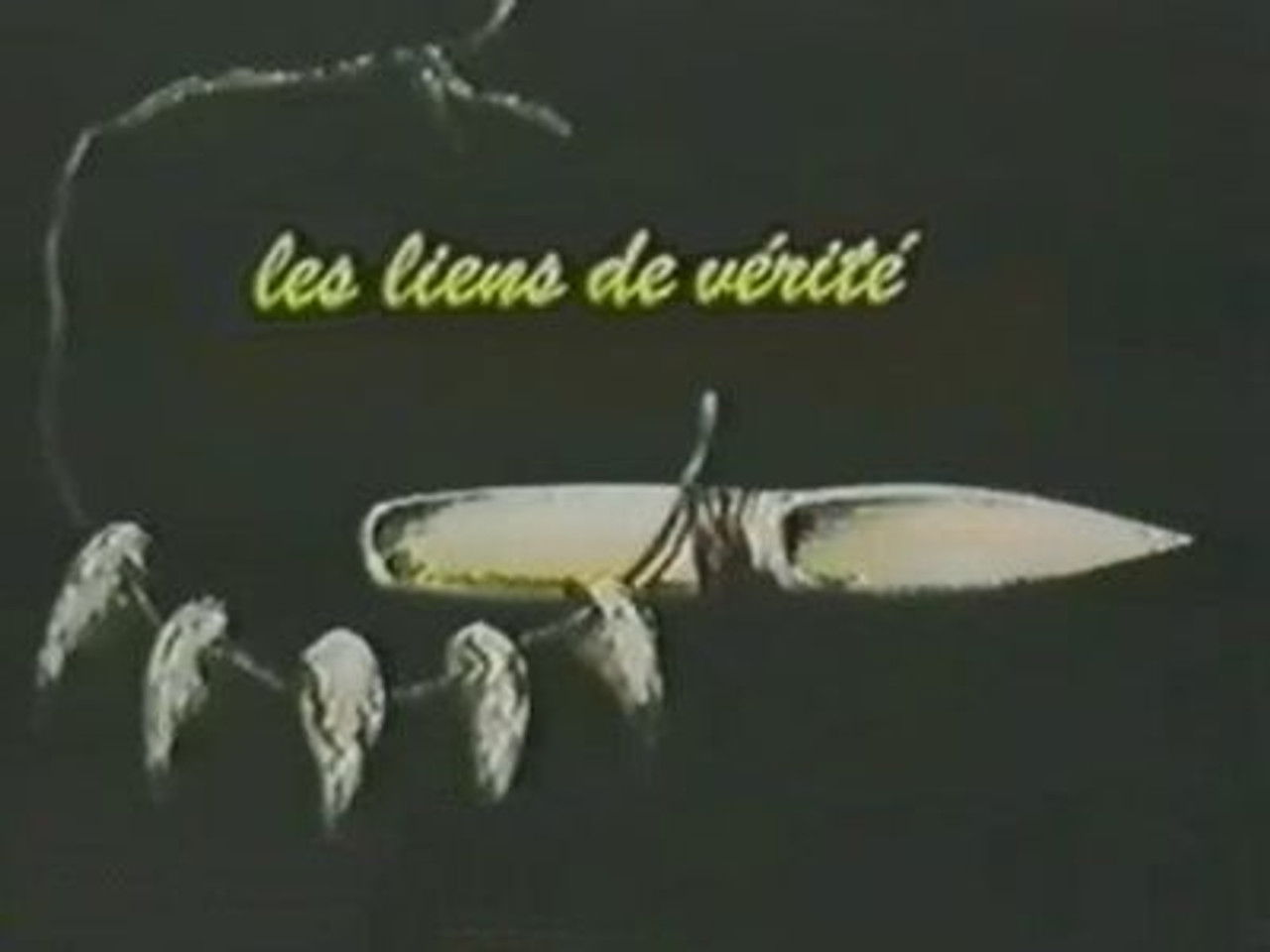 Rahan, fils des ages farouches — Les liens de vérité