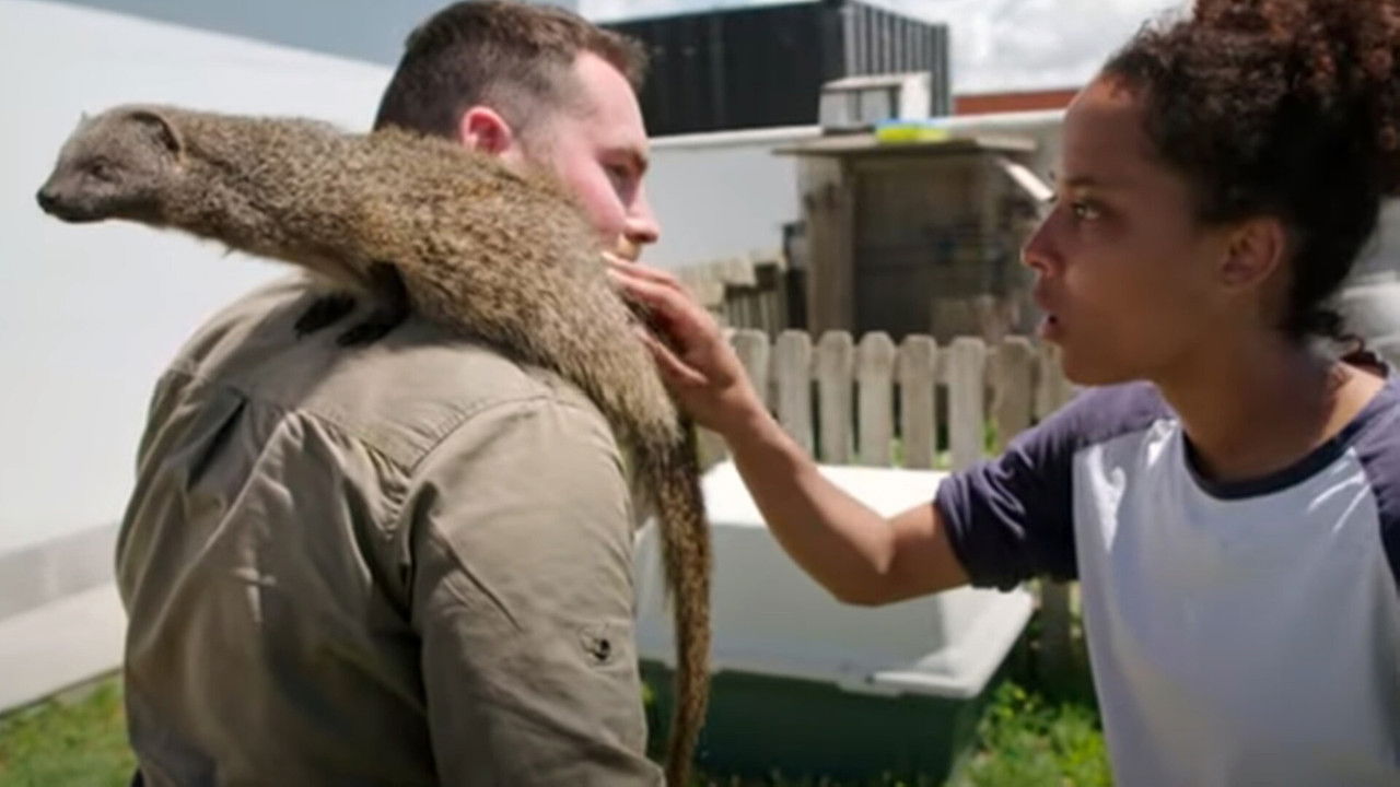 Pia und die wilden Tiere — Épisode 21