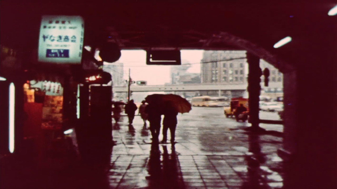 Fondo
