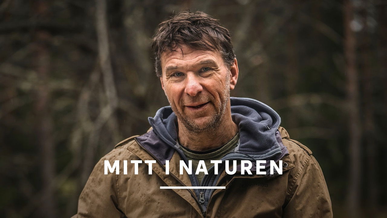 Në mes të natyrës backdrop