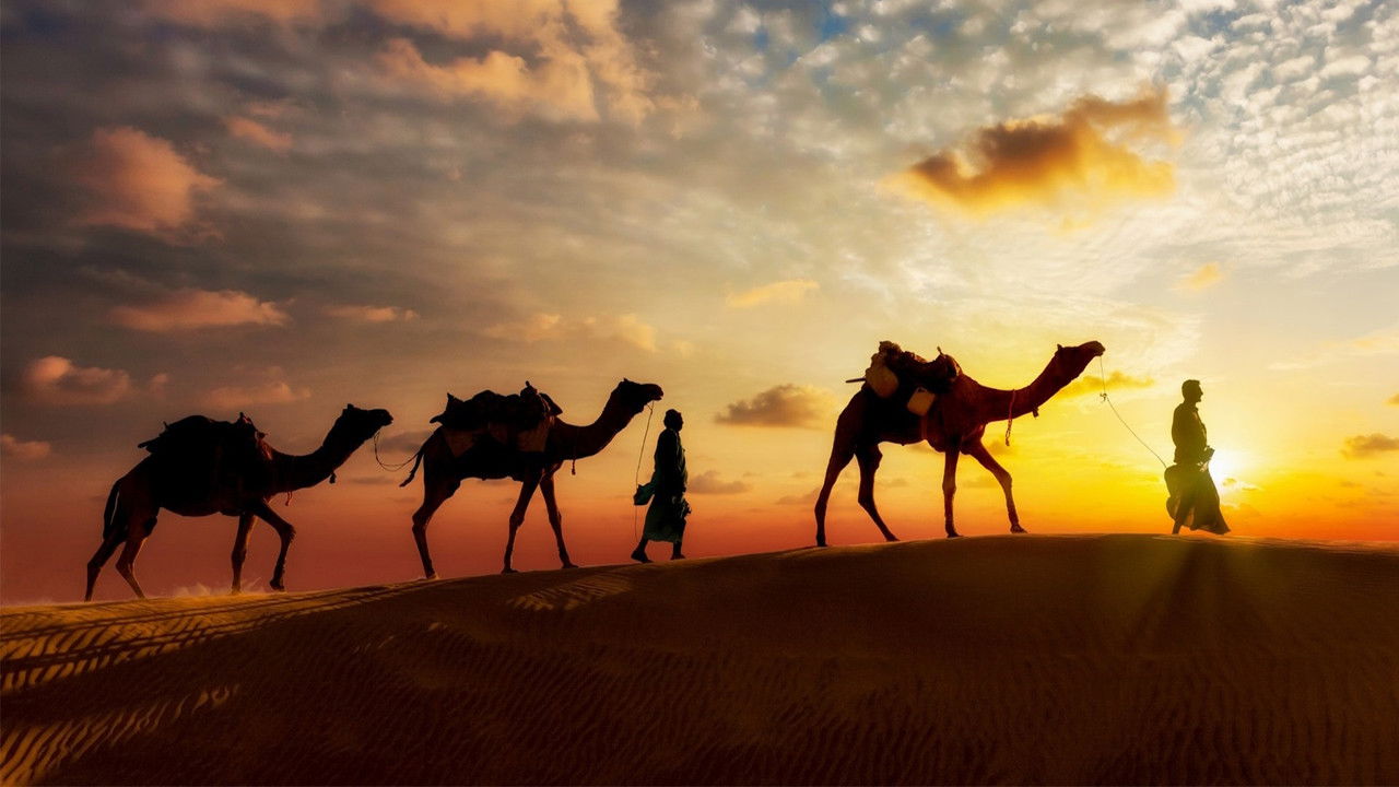 Orientzyklus Collection