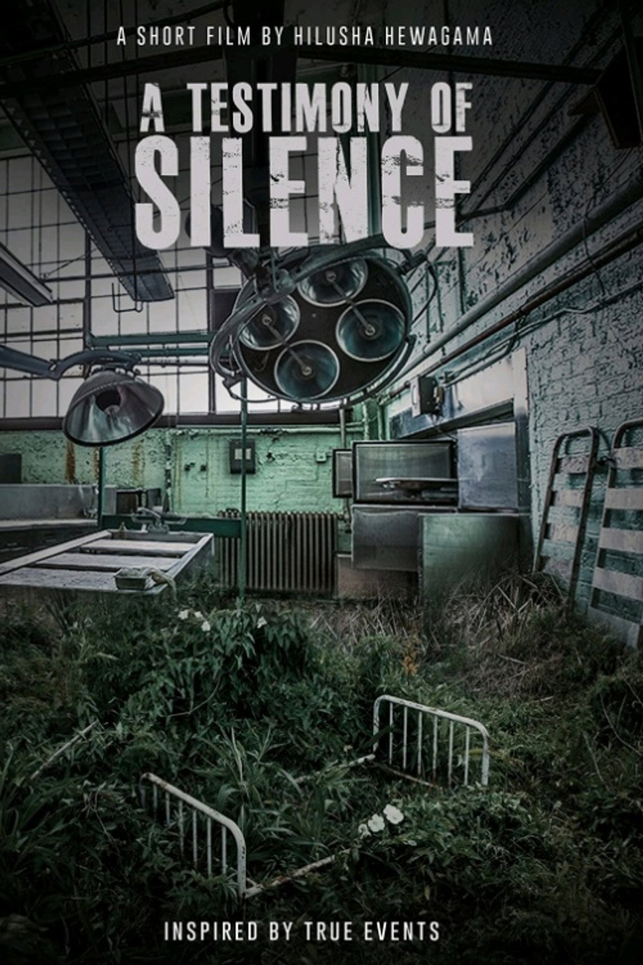 Testimony of Silence Backdrop