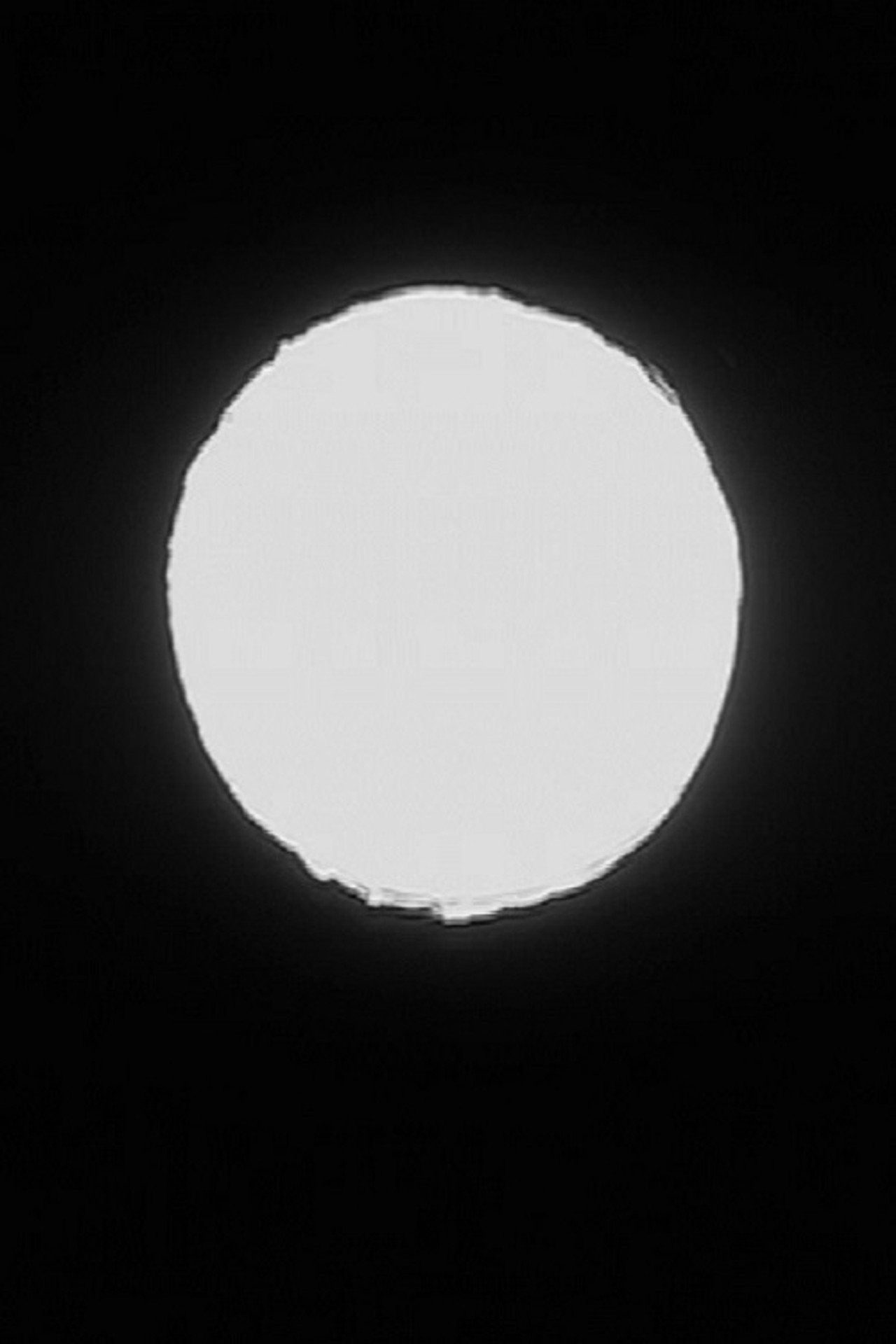 Phase Loop filmaffisch