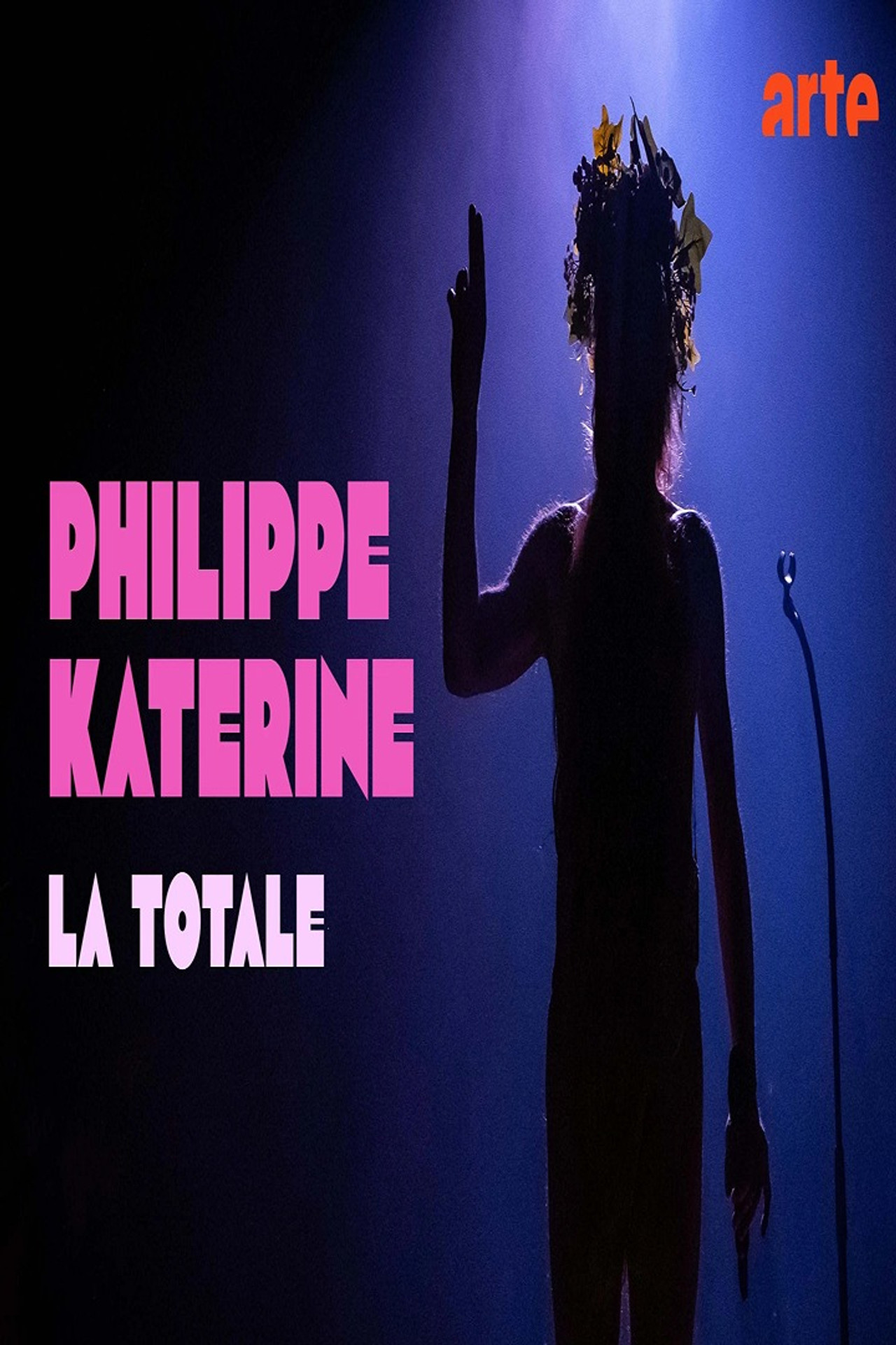 Philippe Katerine @ Les Eurockéennes de Belfort 2025 Backdrop