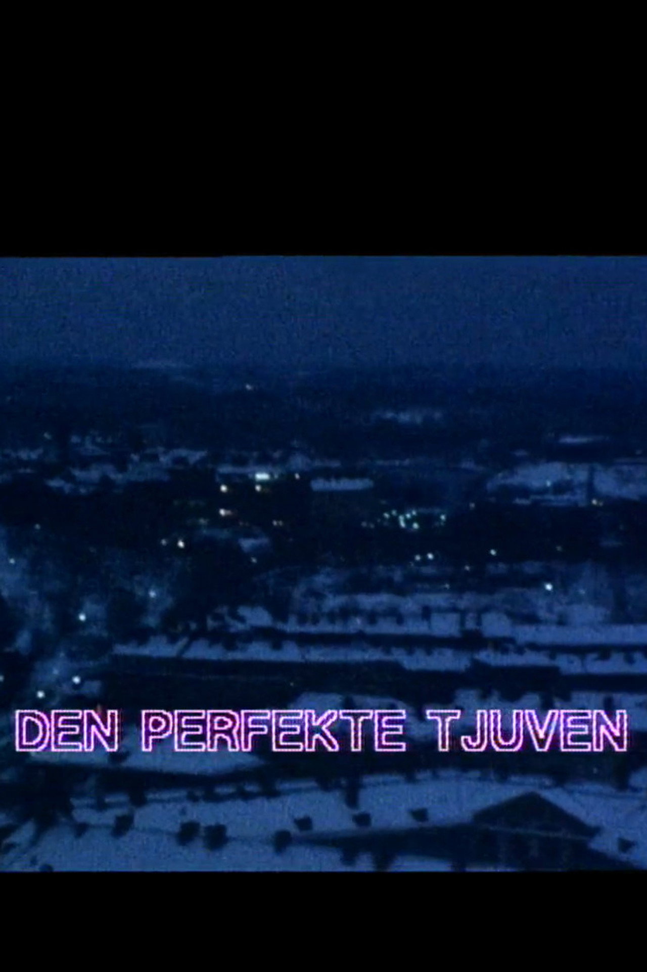 Den perfekte tjuven