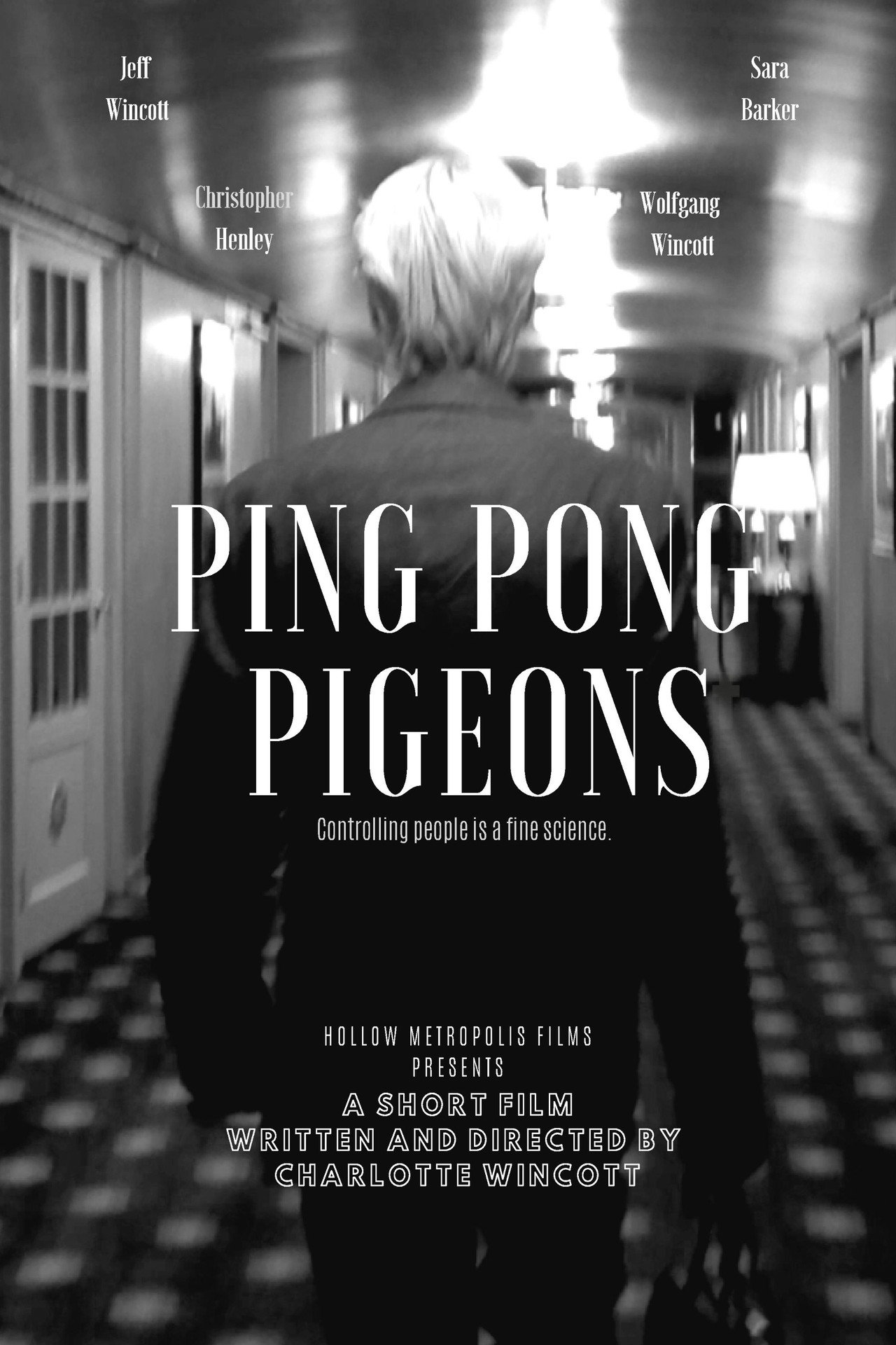 Ping Pong Pigeons poster