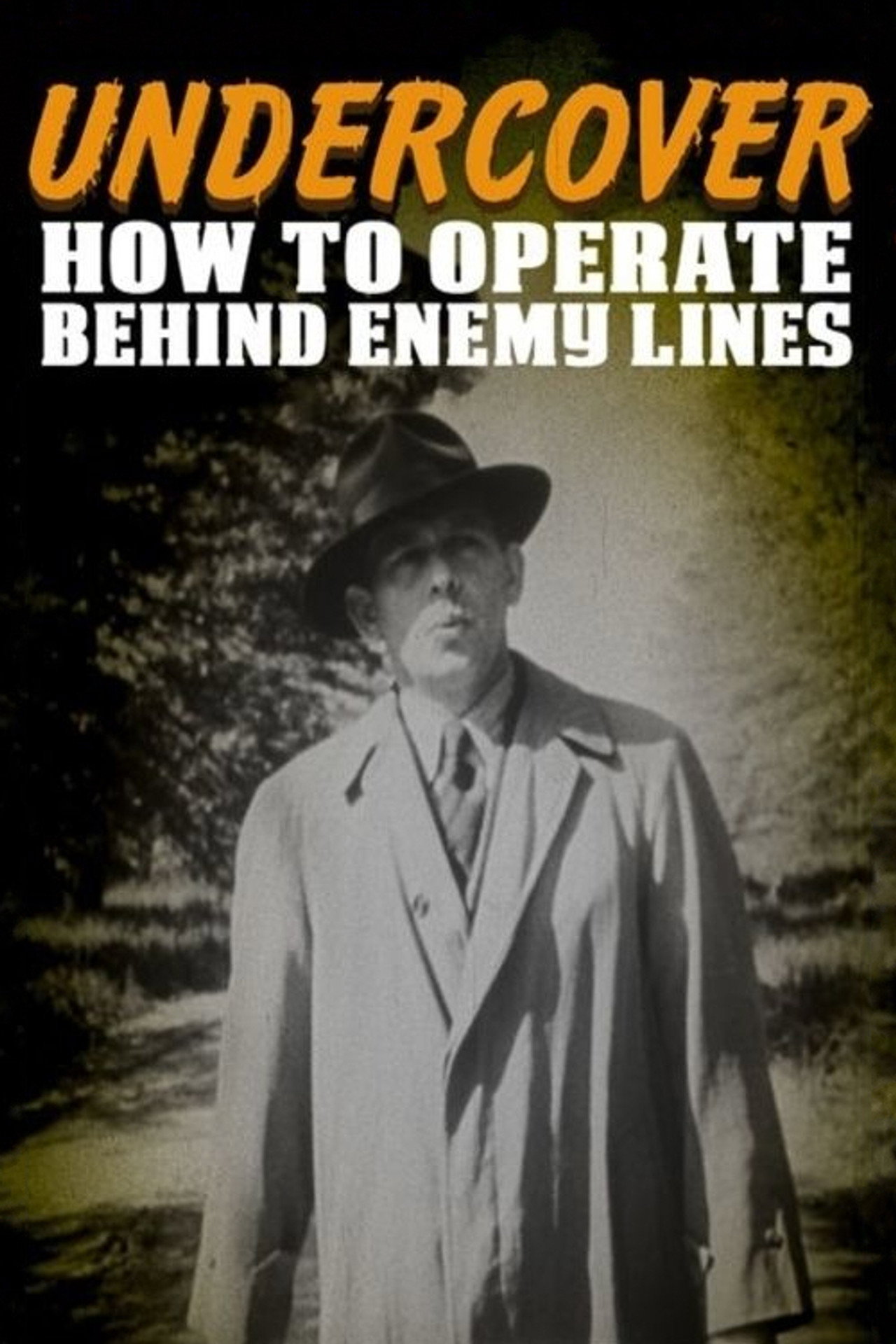Undercover: How to Operate Behind Enemy Lines