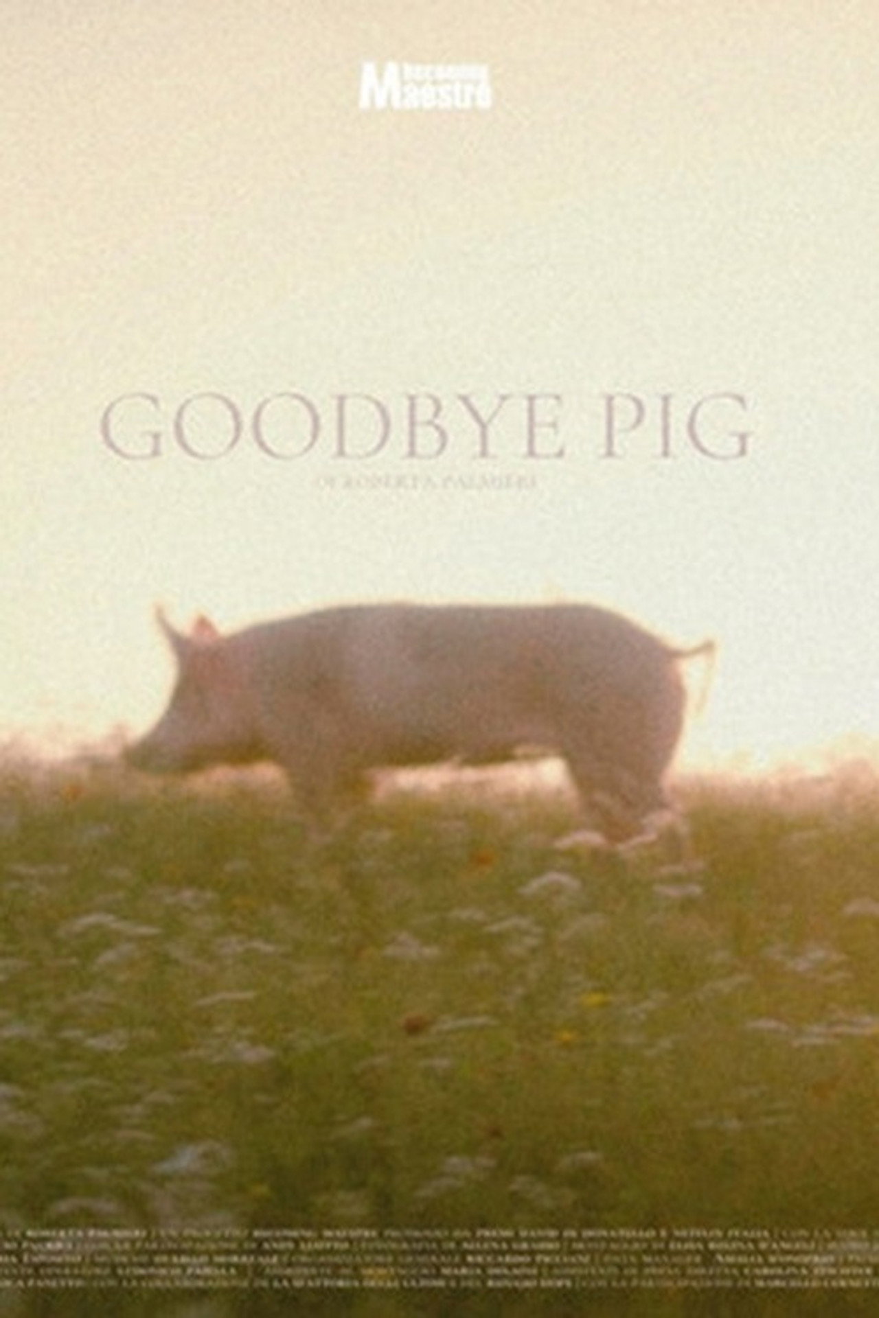 Goodbye Pig