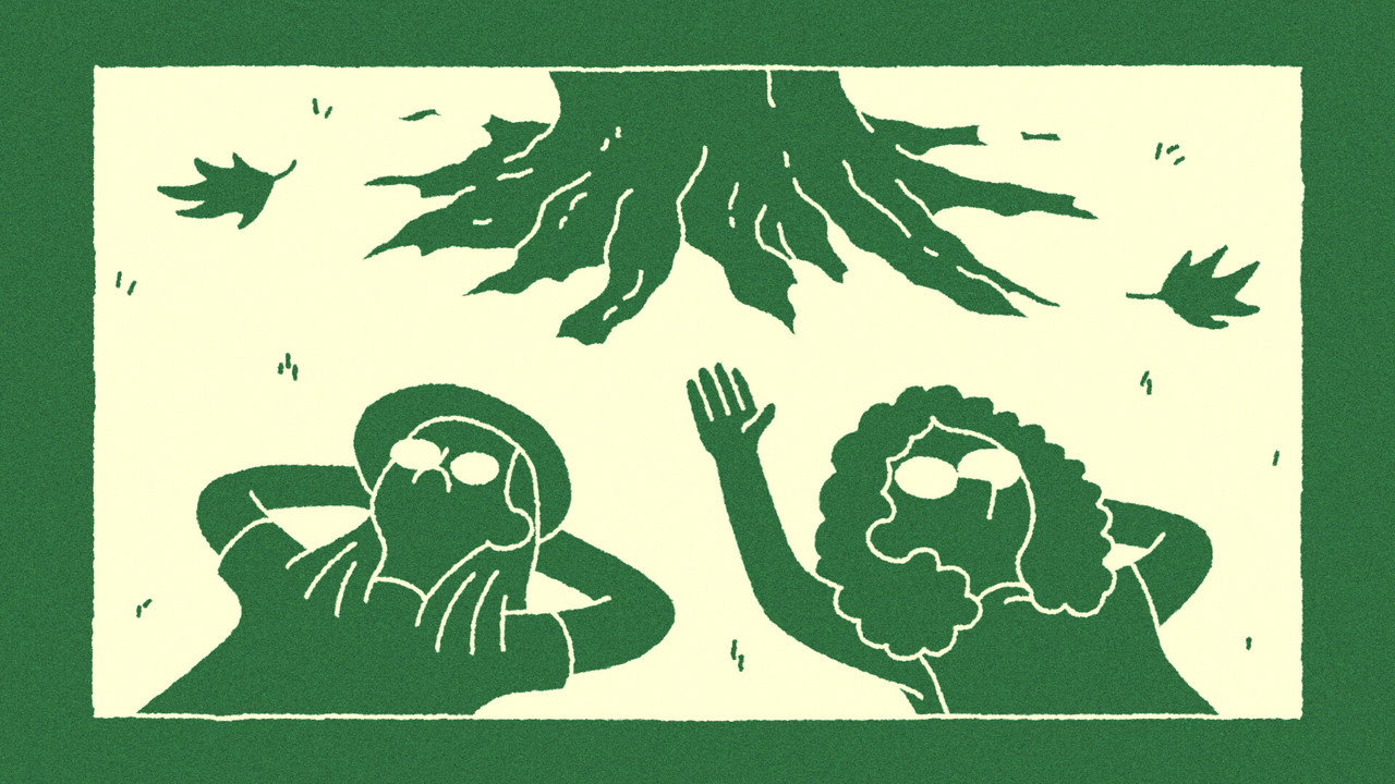 The Sycamore - 剧照