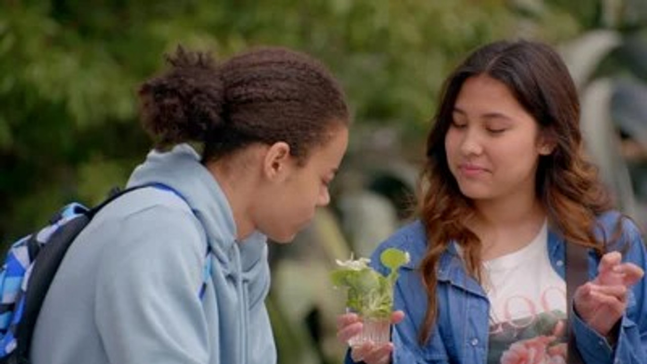 ASKIP, le collège se la raconte — Le jour de l’abandon