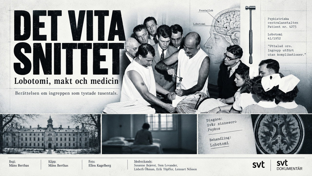 Det vita snittet (2010)