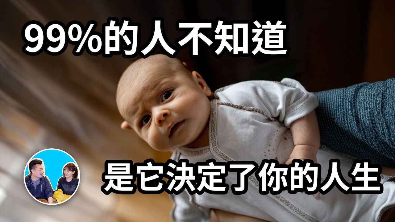 老高与小茉 — Épisode 310