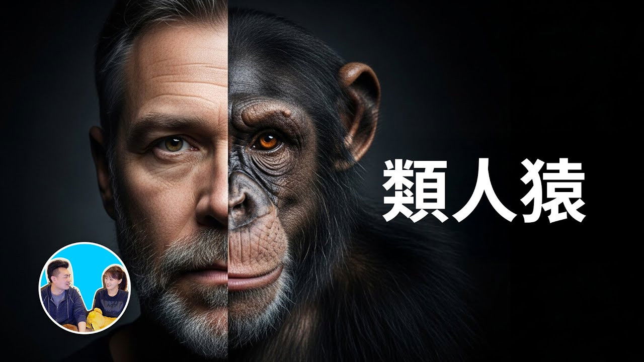 老高与小茉 — Épisode 200