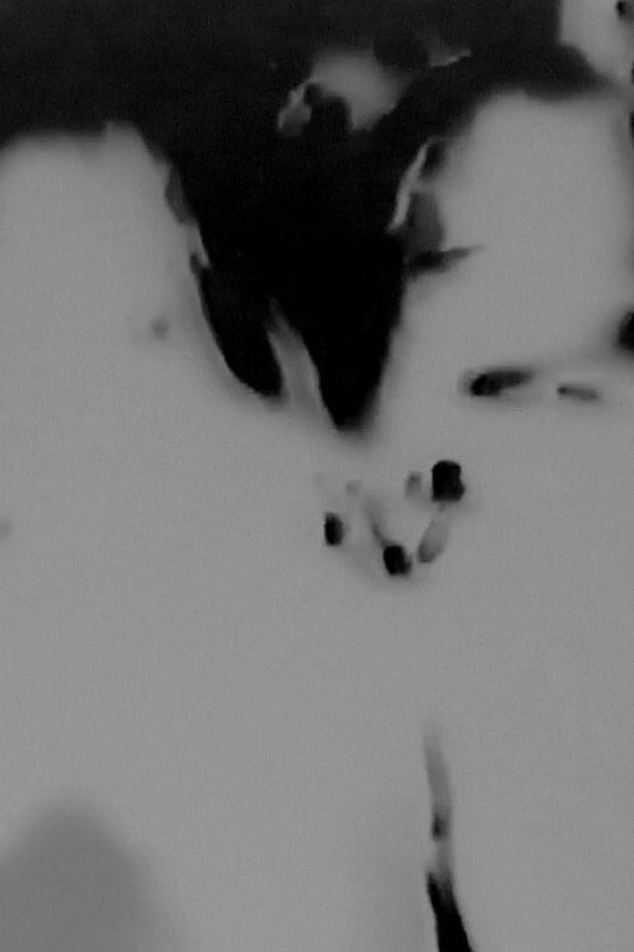 Witches Walk Monochrome Backdrop