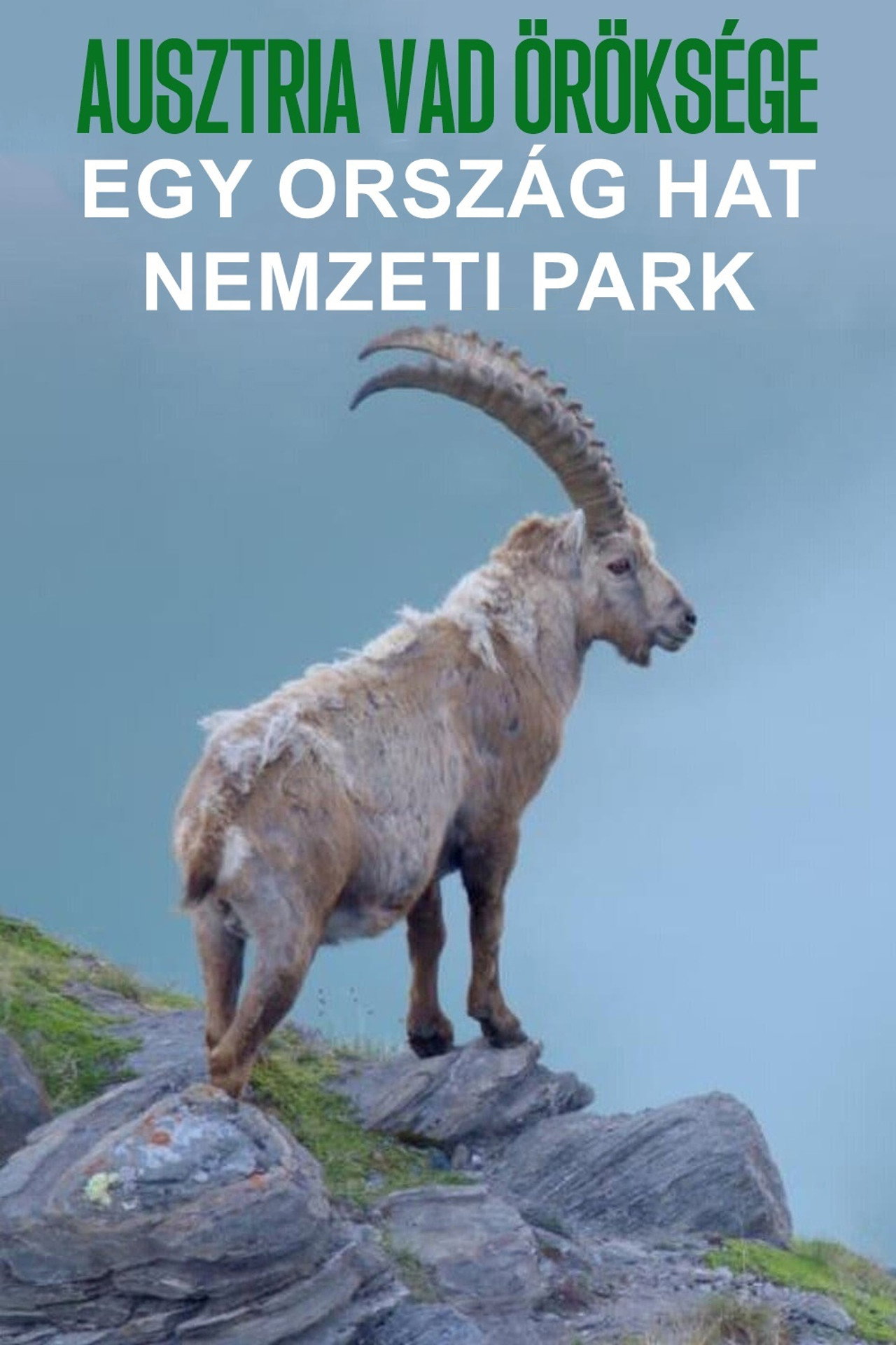 Ausztria vad öröksége – plakát 4