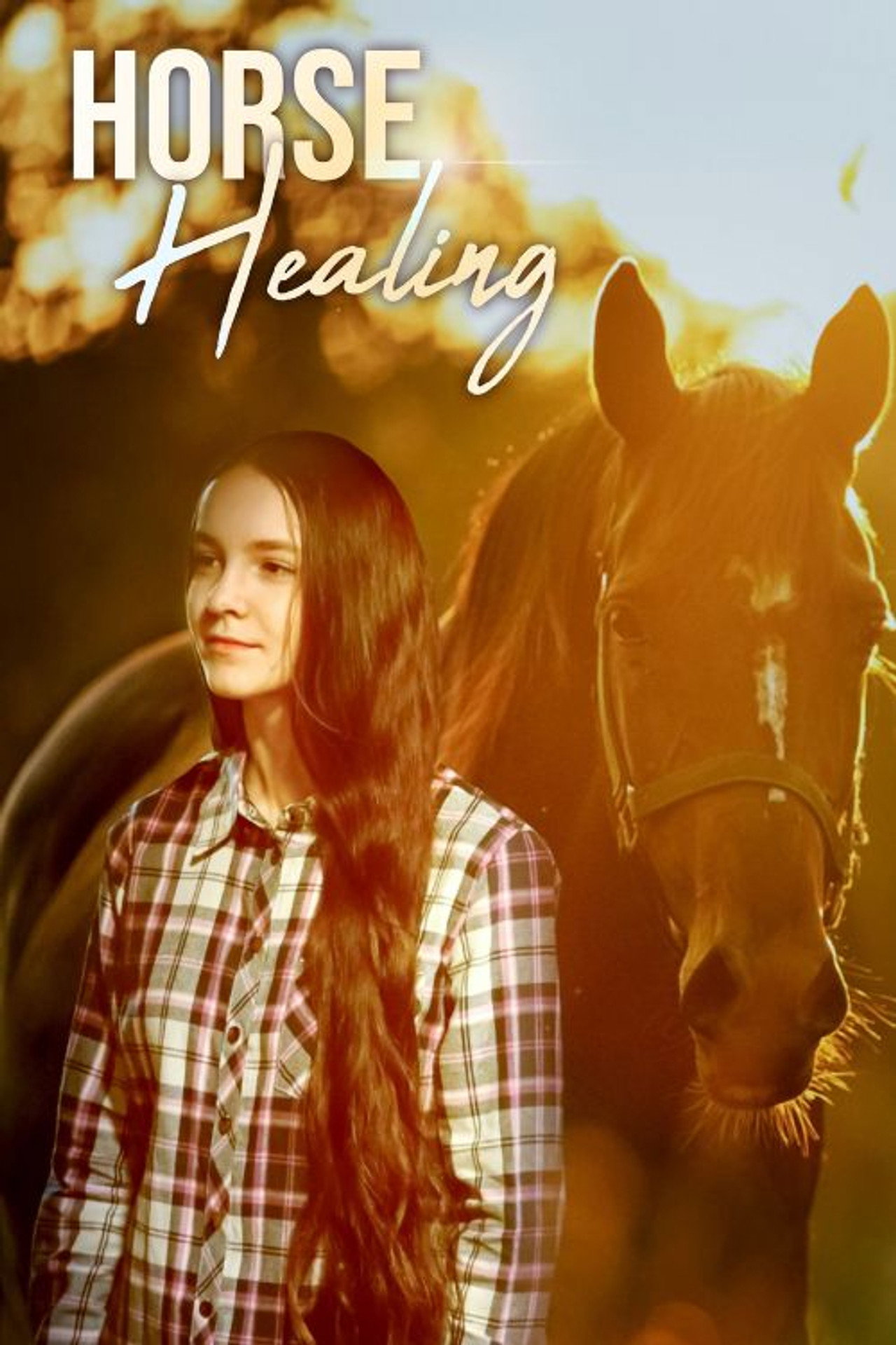 Horse Healing filmaffisch