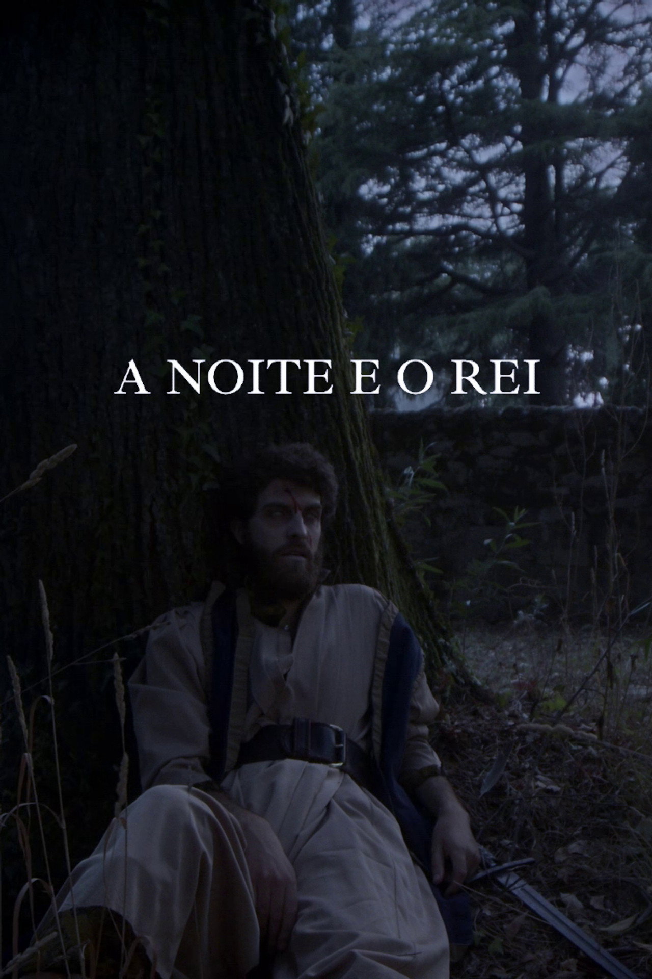 A noite e o rei filmaffisch