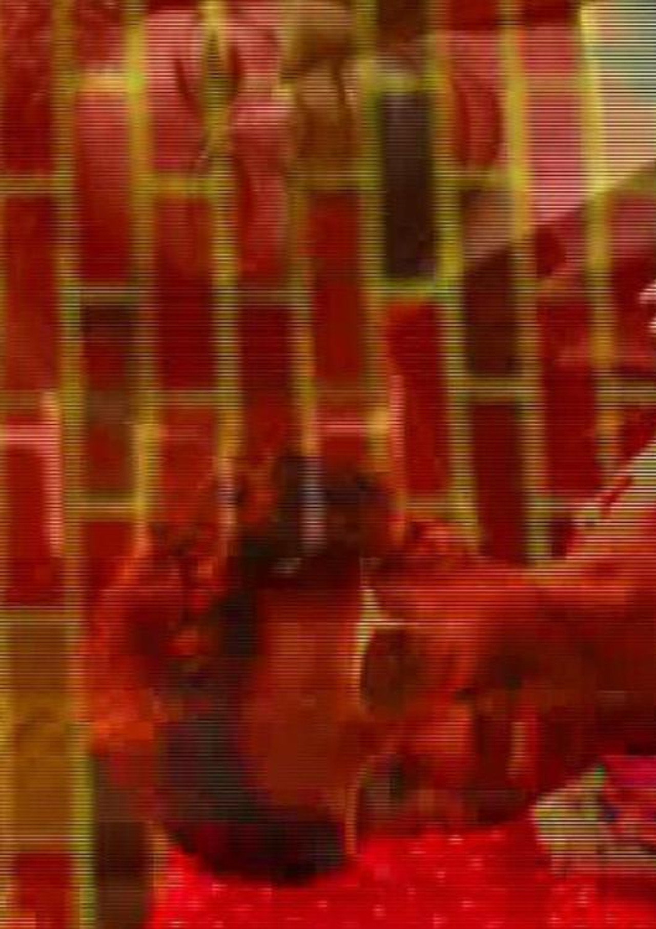 Kodachrome Revisited filmaffisch