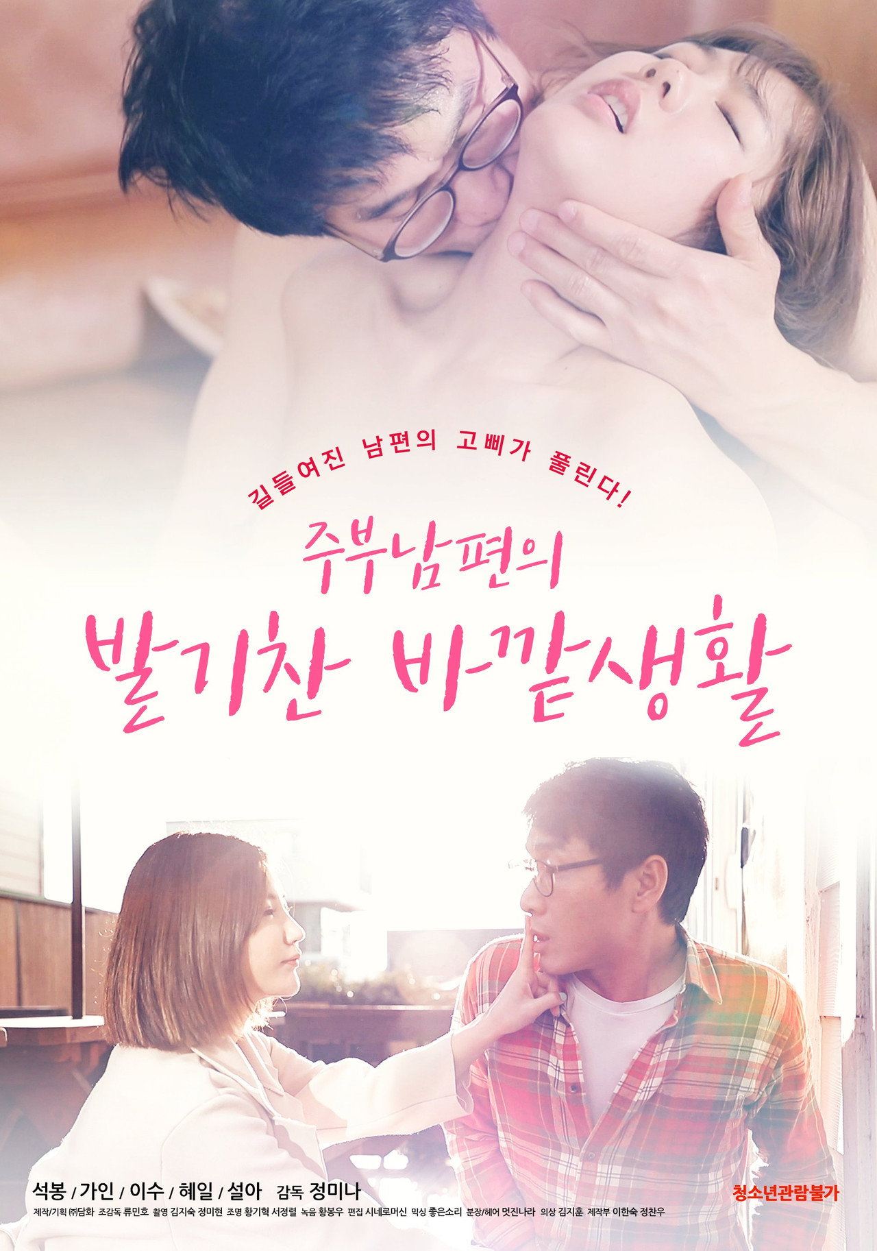 주부남편의 발기찬 바깥생활 filmaffisch