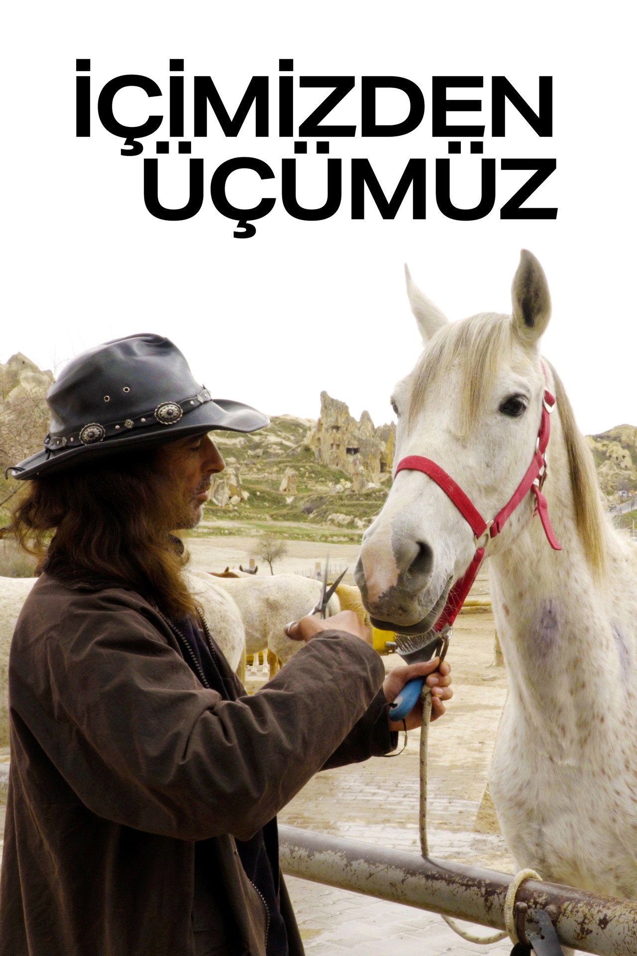 İçimizden Üçümüz affisch