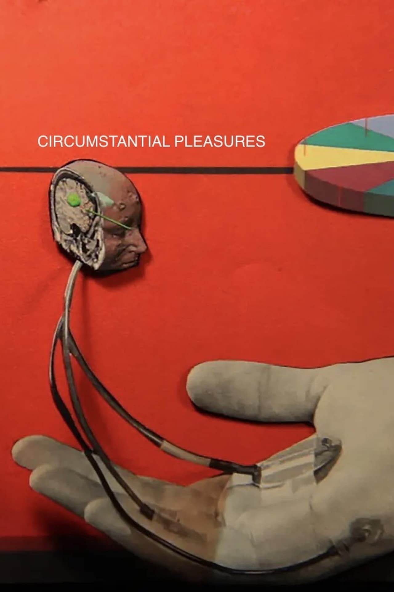 Circumstantial Pleasures filmaffisch