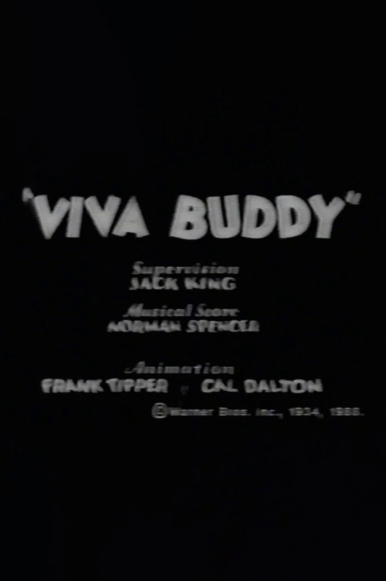 Viva Buddy Backdrop