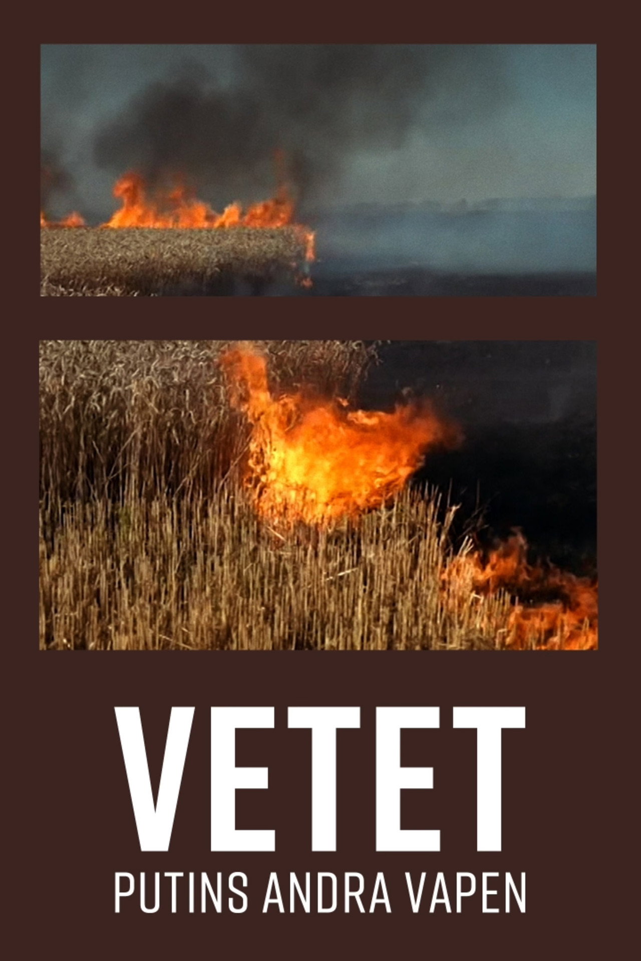 Vetet – Putins andra vapen filmaffisch