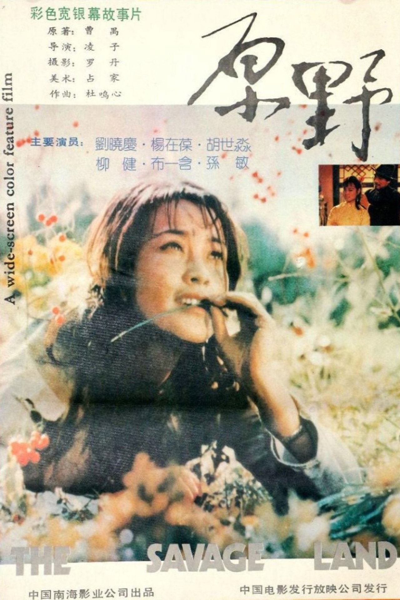 原野 filmaffisch