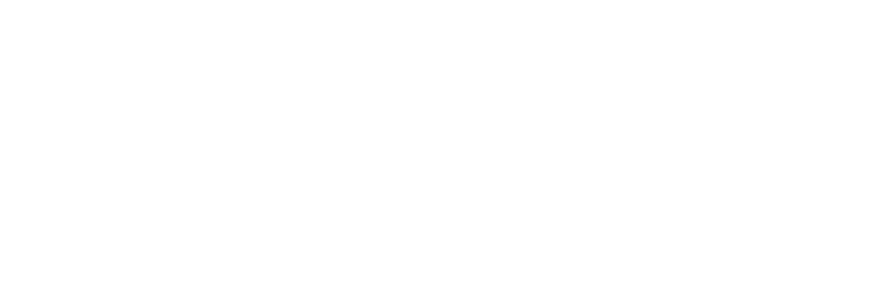 Тайный аудит