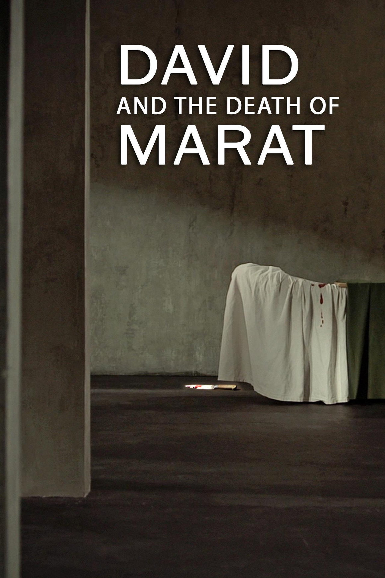 David And The Death Of Marat poster