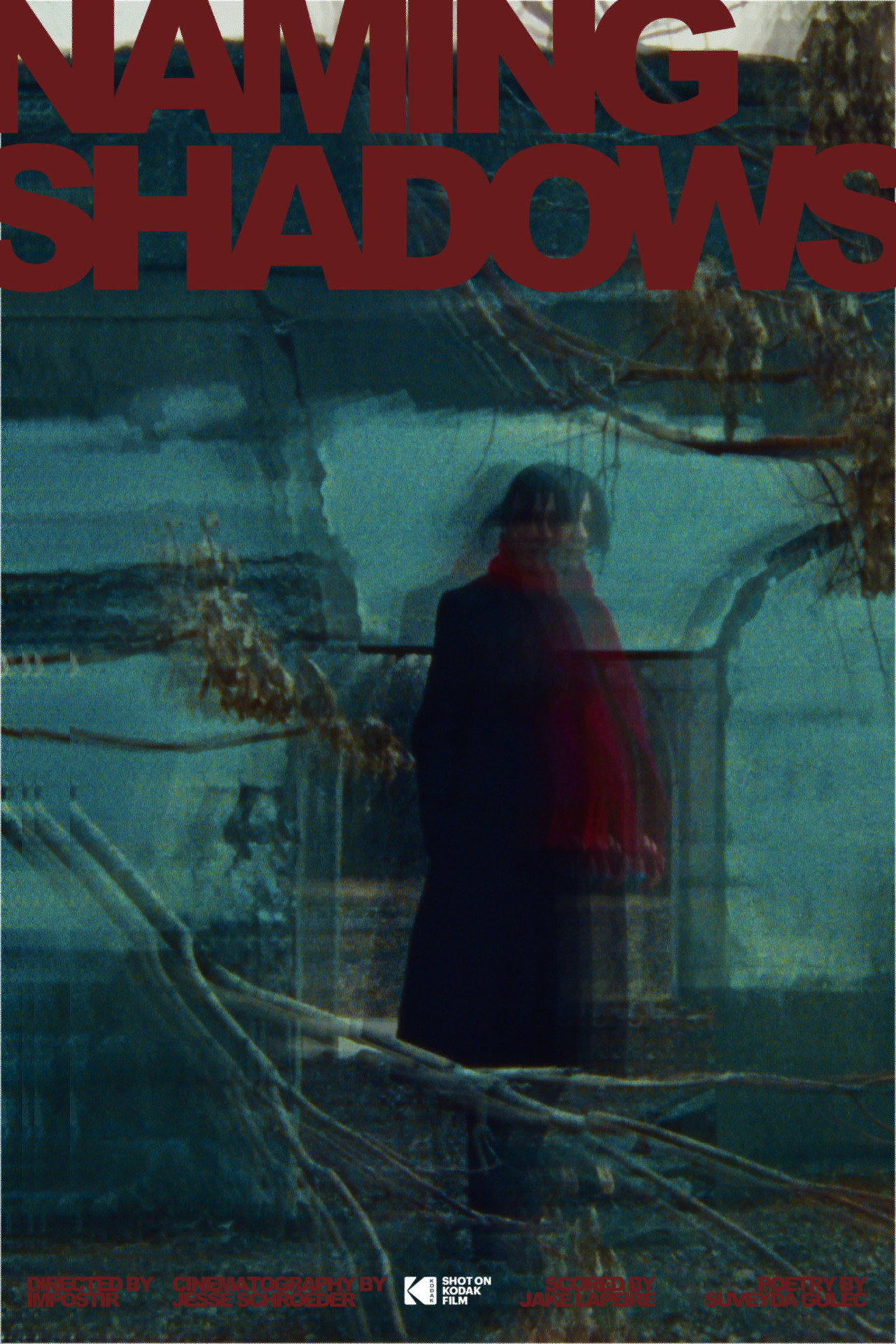 Naming Shadows filmaffisch