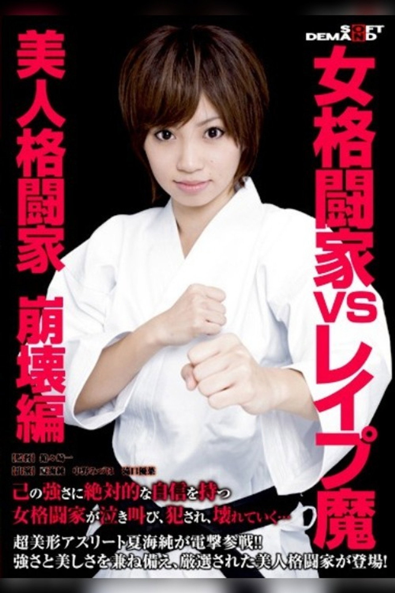 女格闘家VSレイプ魔 美人格闘家崩壊編 filmaffisch
