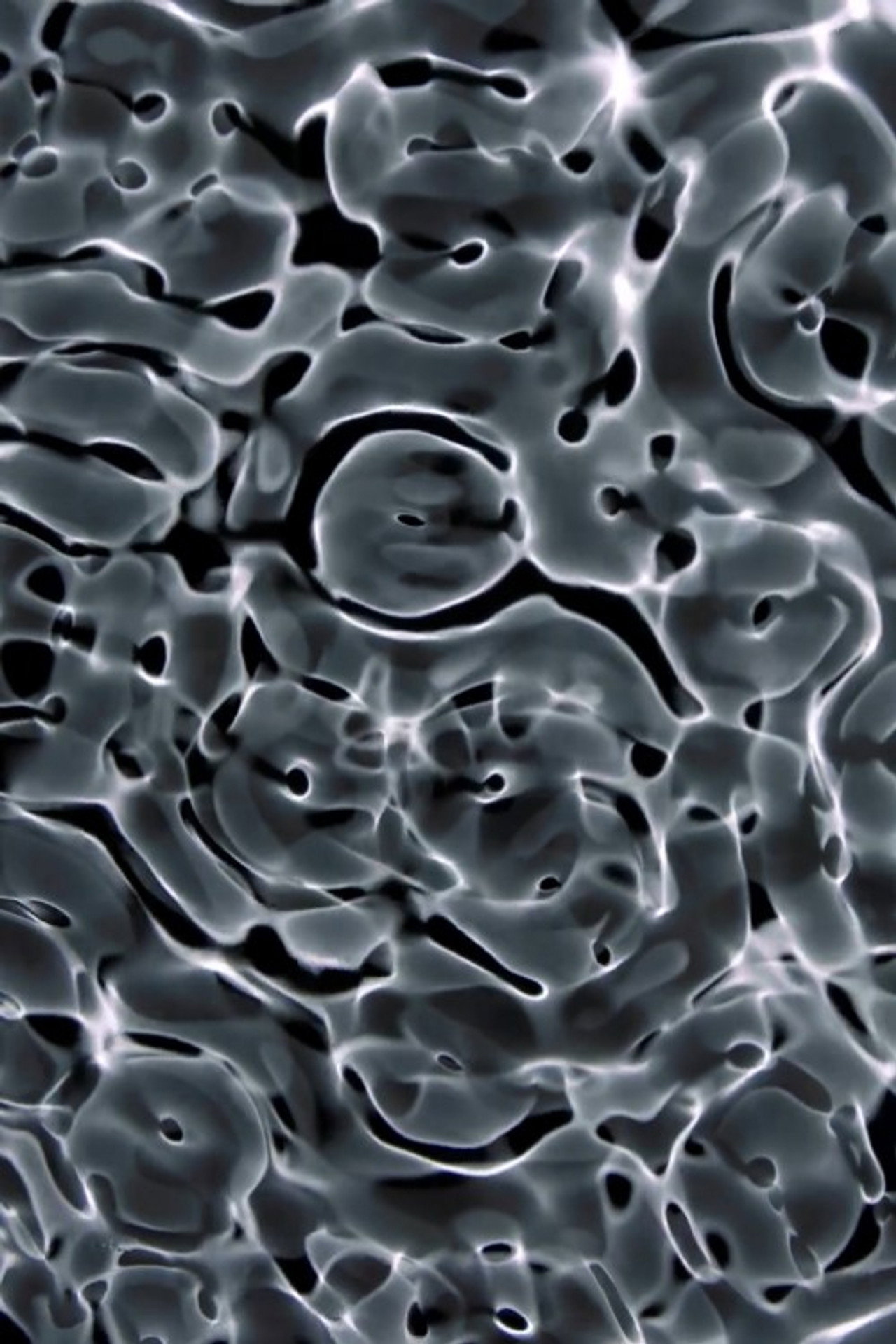 Decoherence filmaffisch