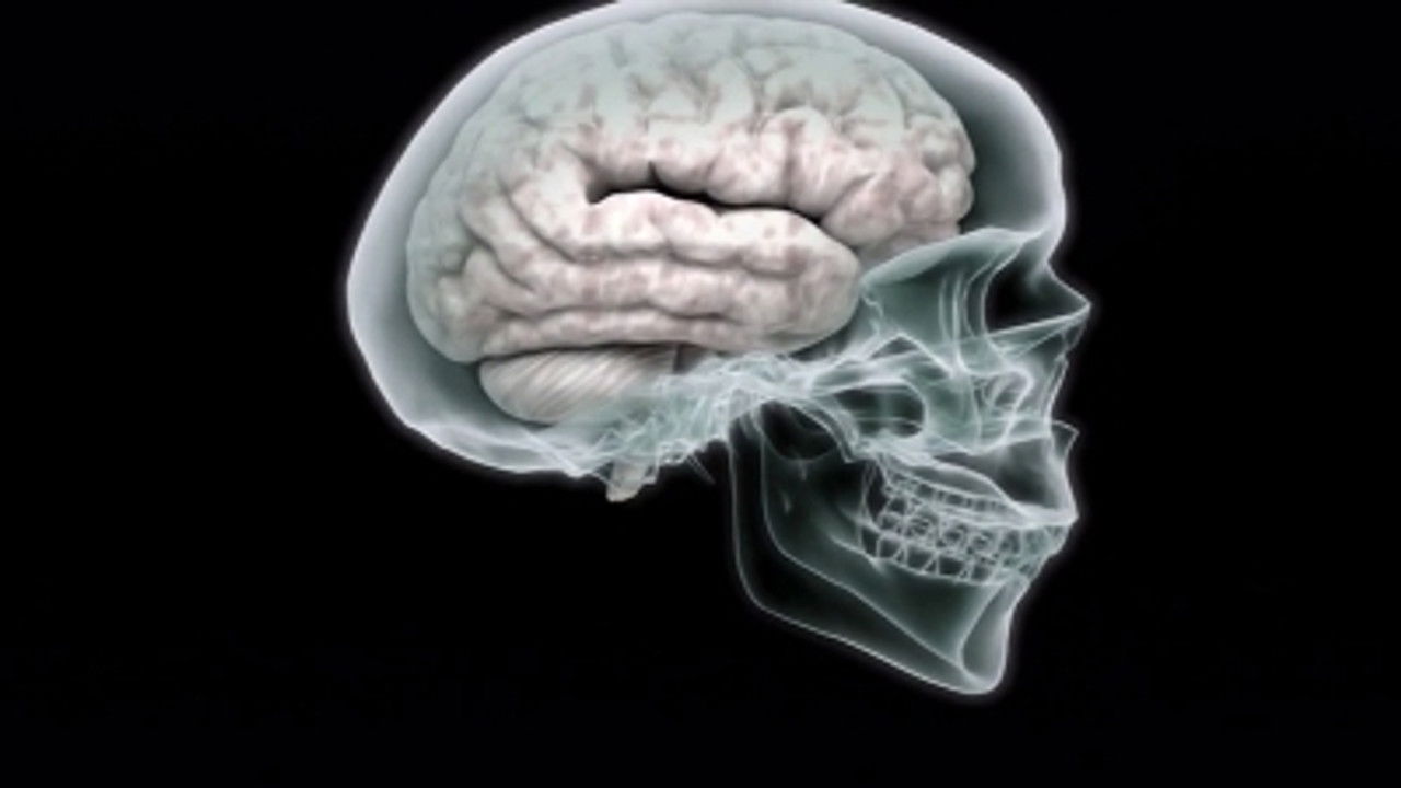 Comme par magie — Le mentalisme